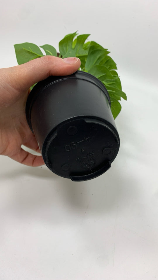 FAUX IVY PLANT IN BLACK PLASTIC POT.