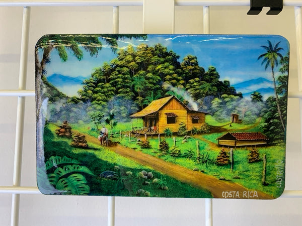 SMALL "COSTA RICA" HAND PAINTED WALL HANGING.