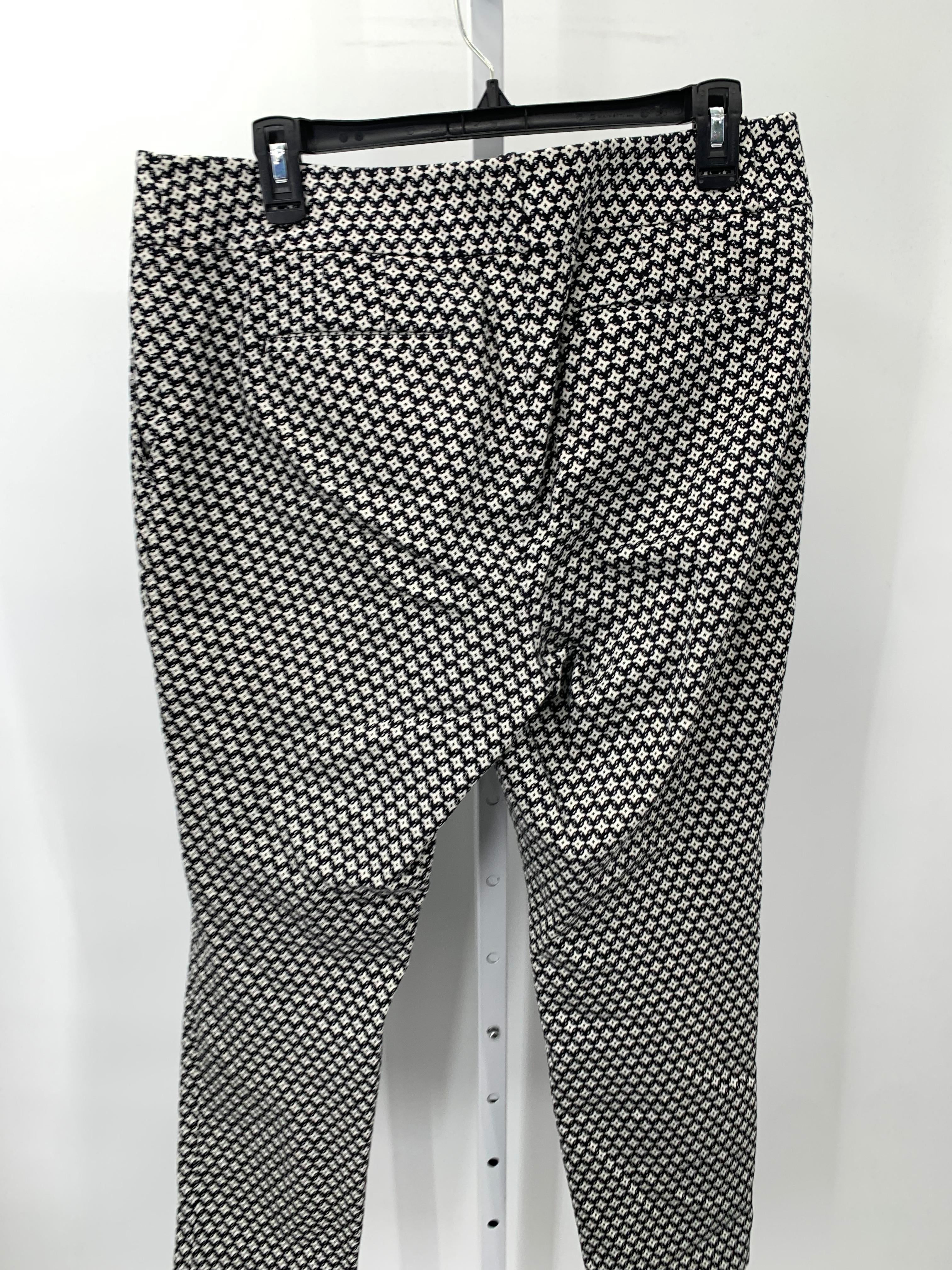 Loft Size 12 Misses Pants