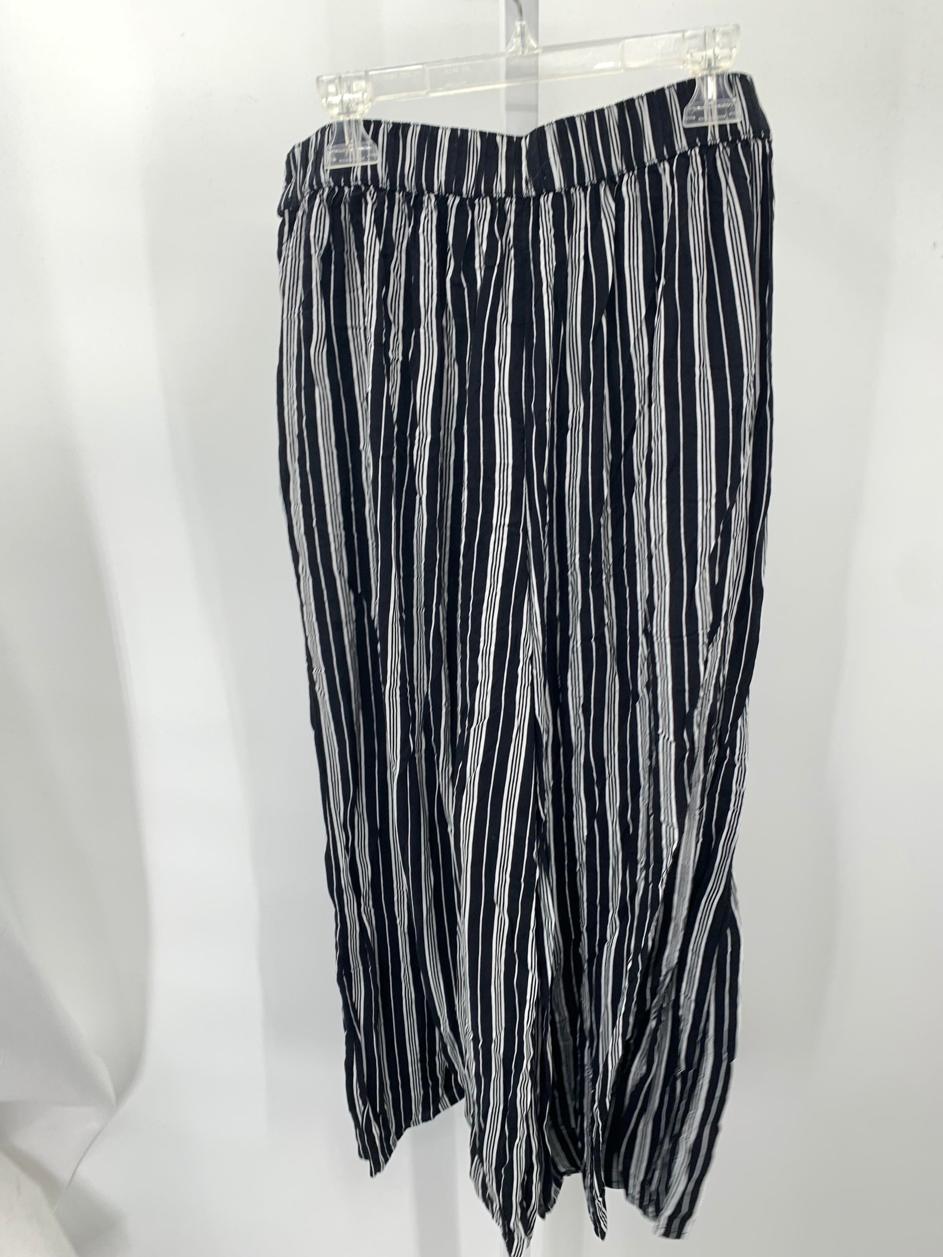 Hollister Size Large Juniors Pants