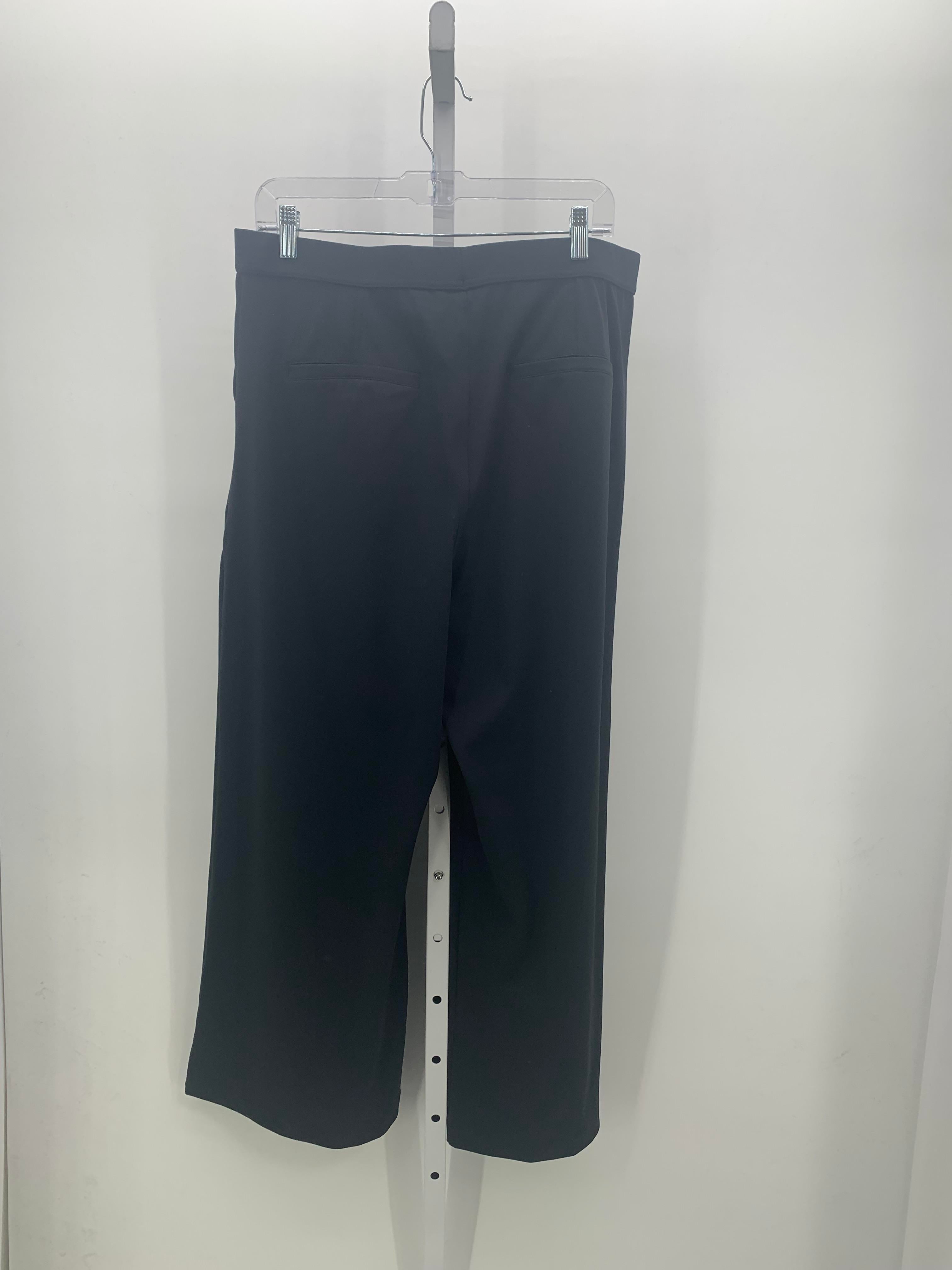 Size X Large Petite Petite Pants