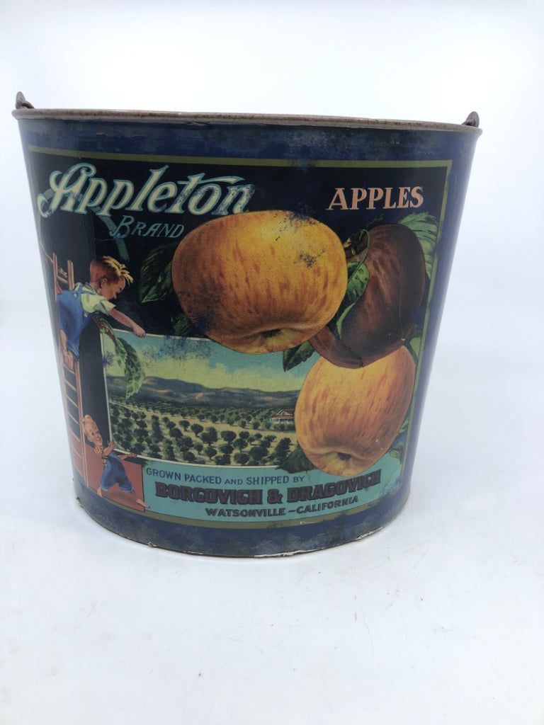 OVAL APPLE PRINT BUCKET W HANDLE.