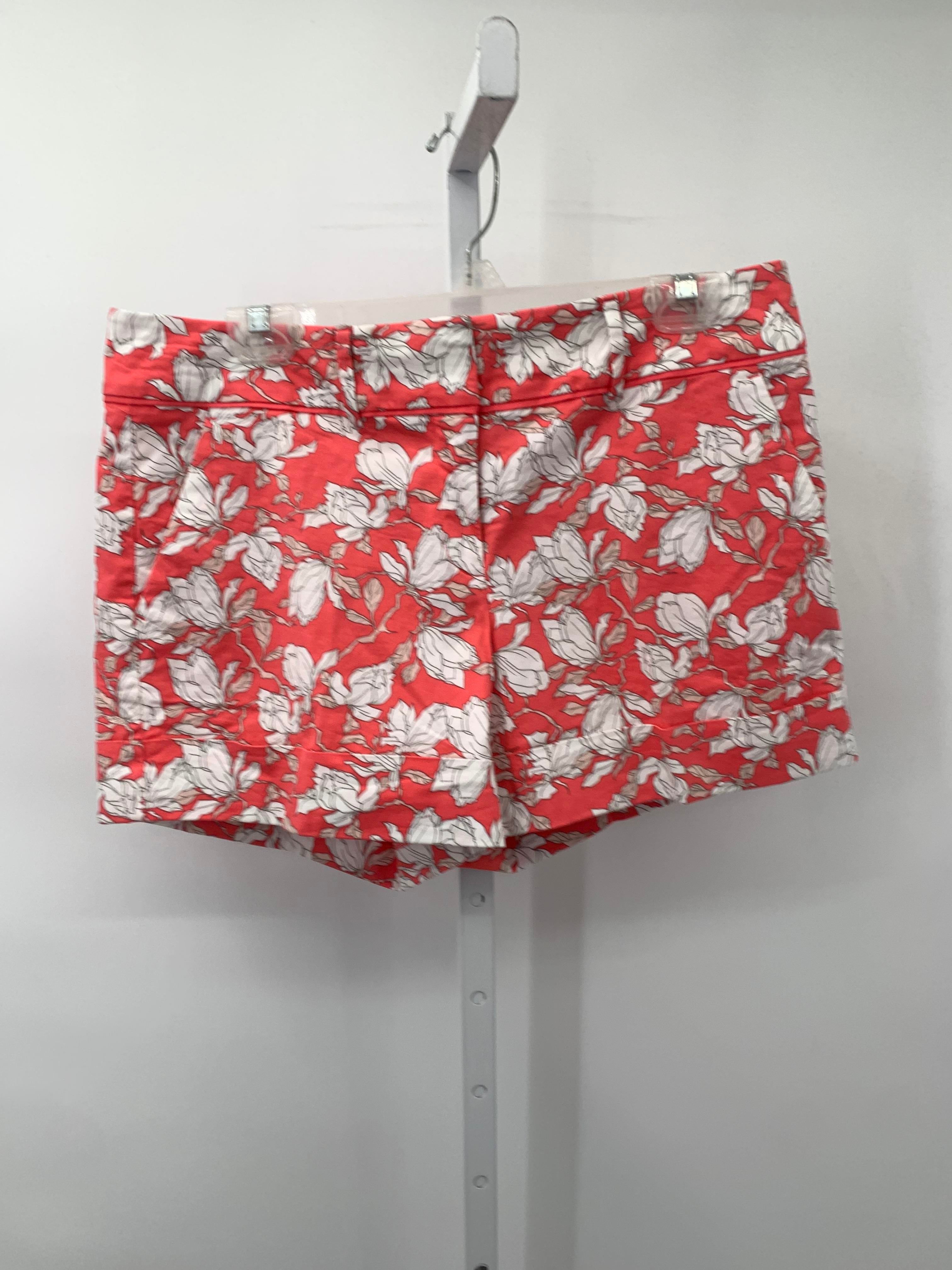 New York & co. Size 10 Misses Shorts