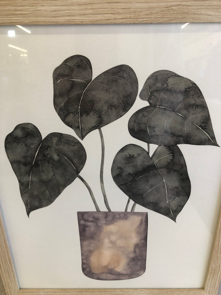 HEART LEAVES PLANT PRINT IN BLONDE WOOD FRAME.