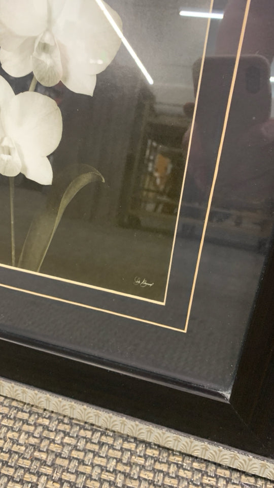 B&W ORCHID IN BROWN/GOLD FRAME.