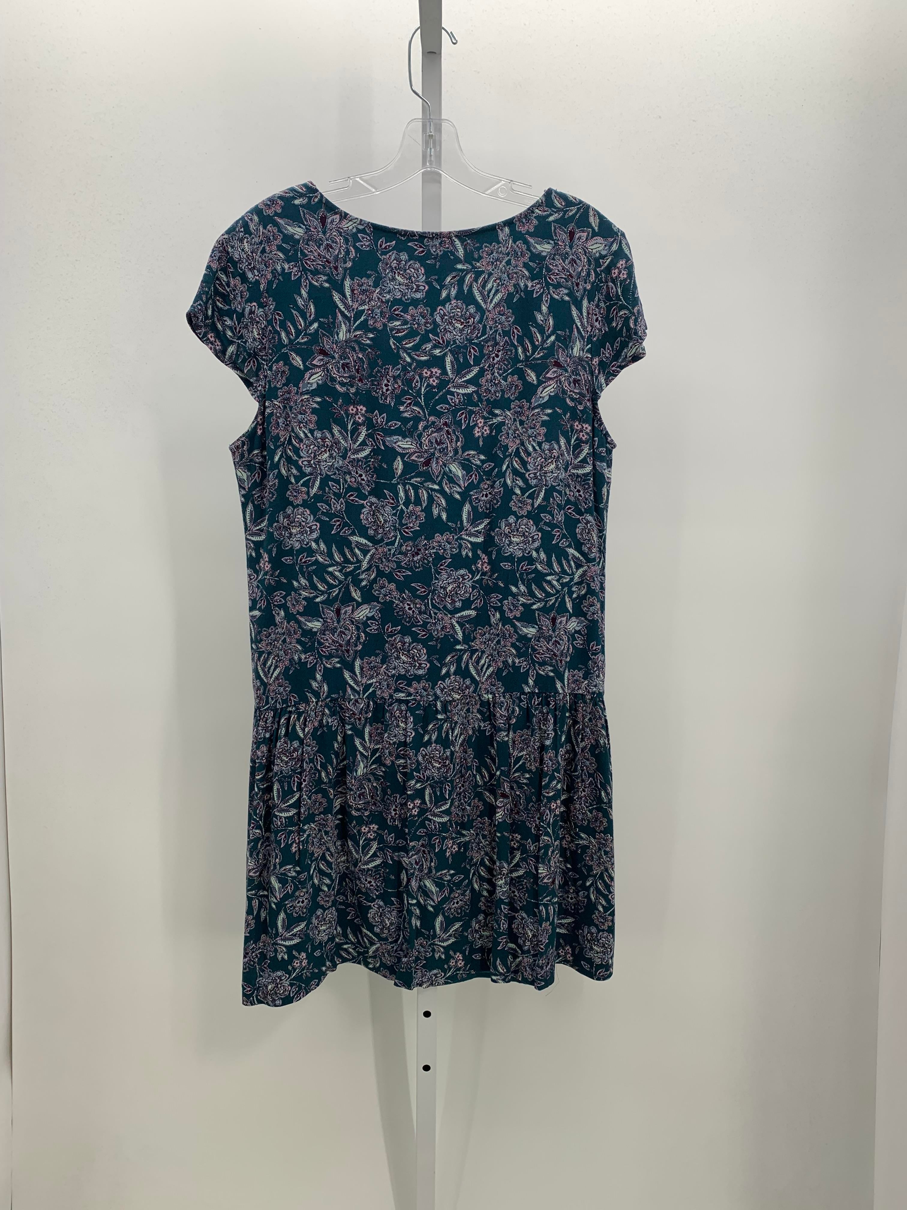 Garnet Hill Size 10 Misses Short Sleeve Dress
