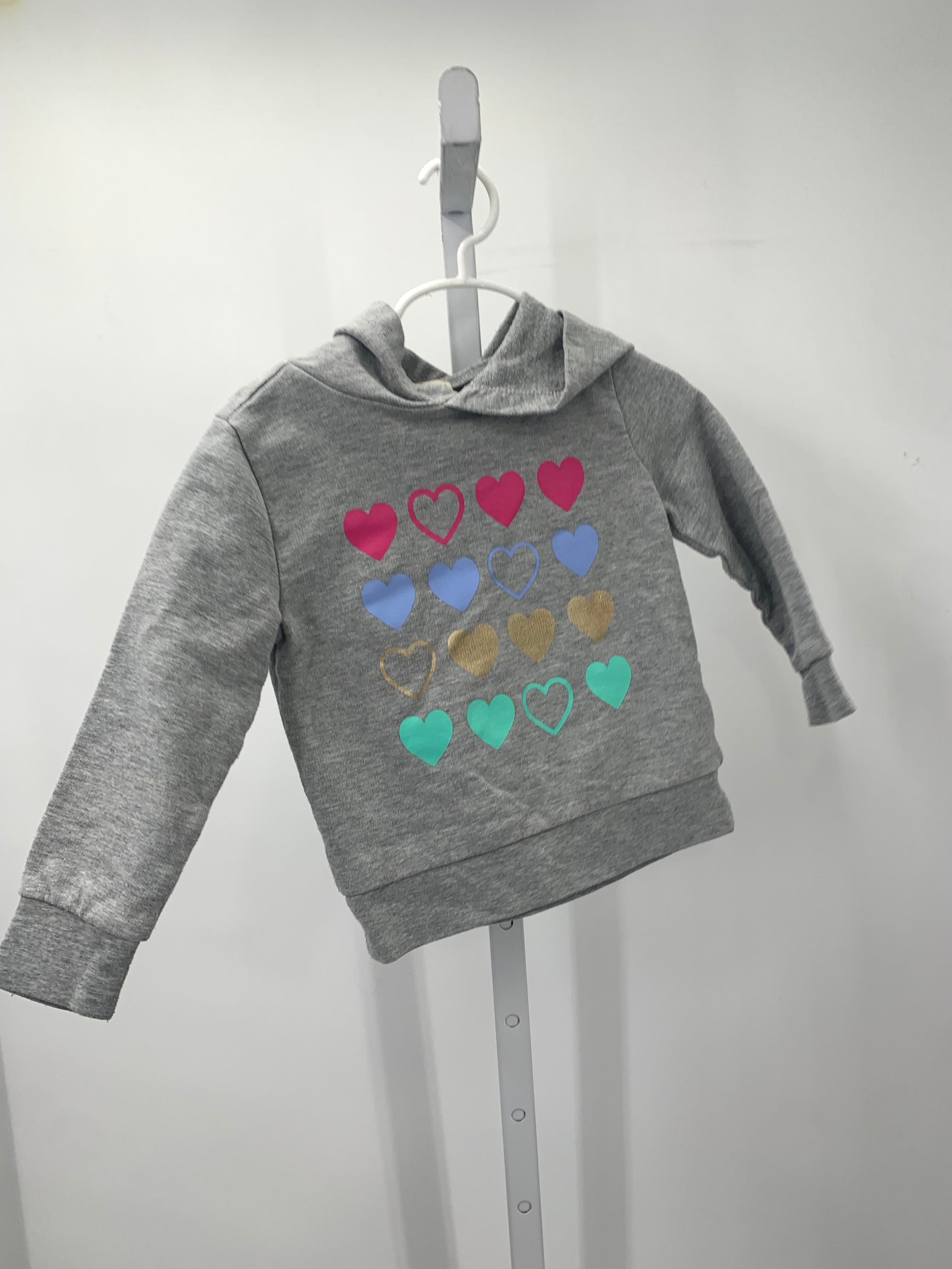 crewcuts Size 2-3 Girls Long Sleeve Shirt