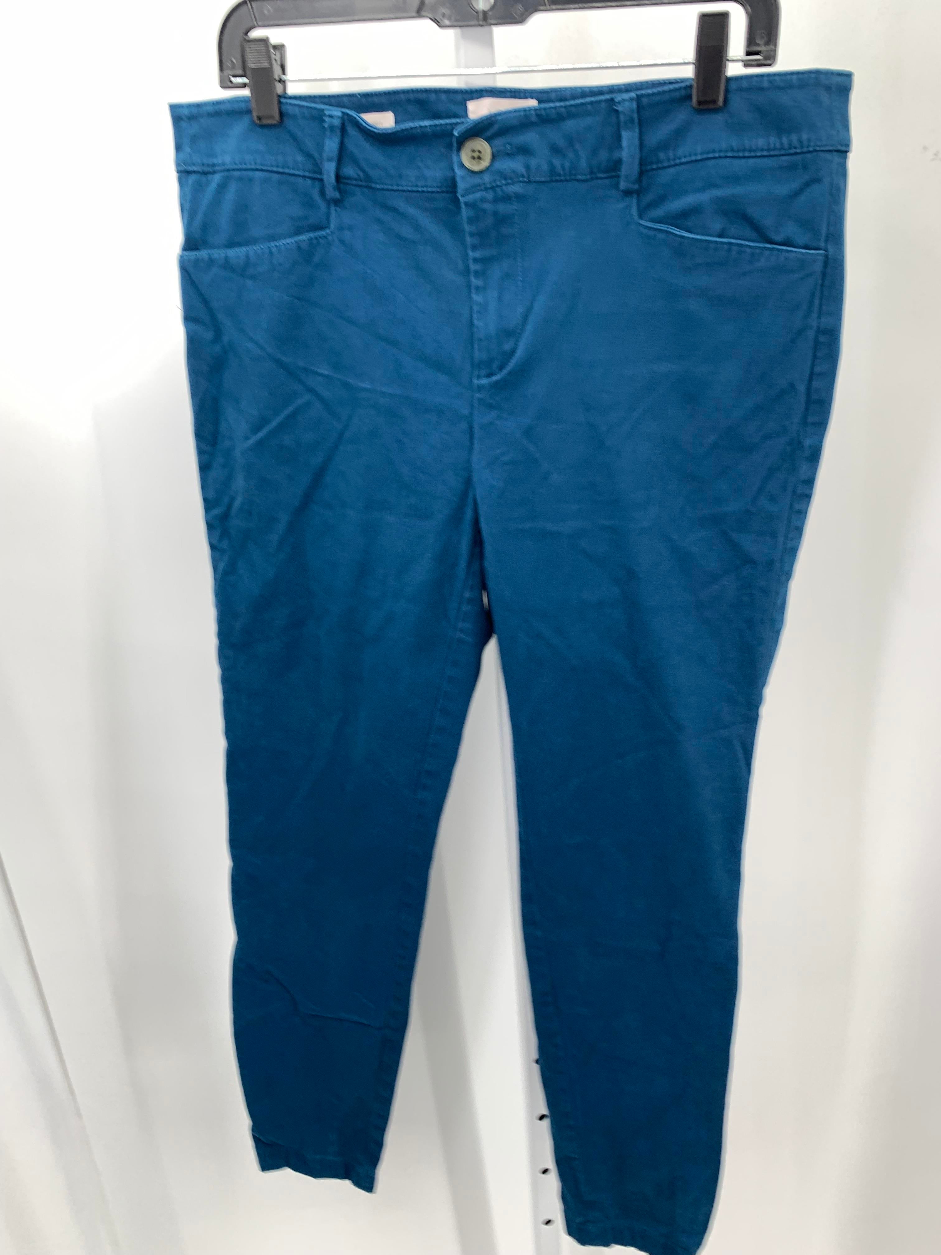 Loft Size 10 Misses Pants