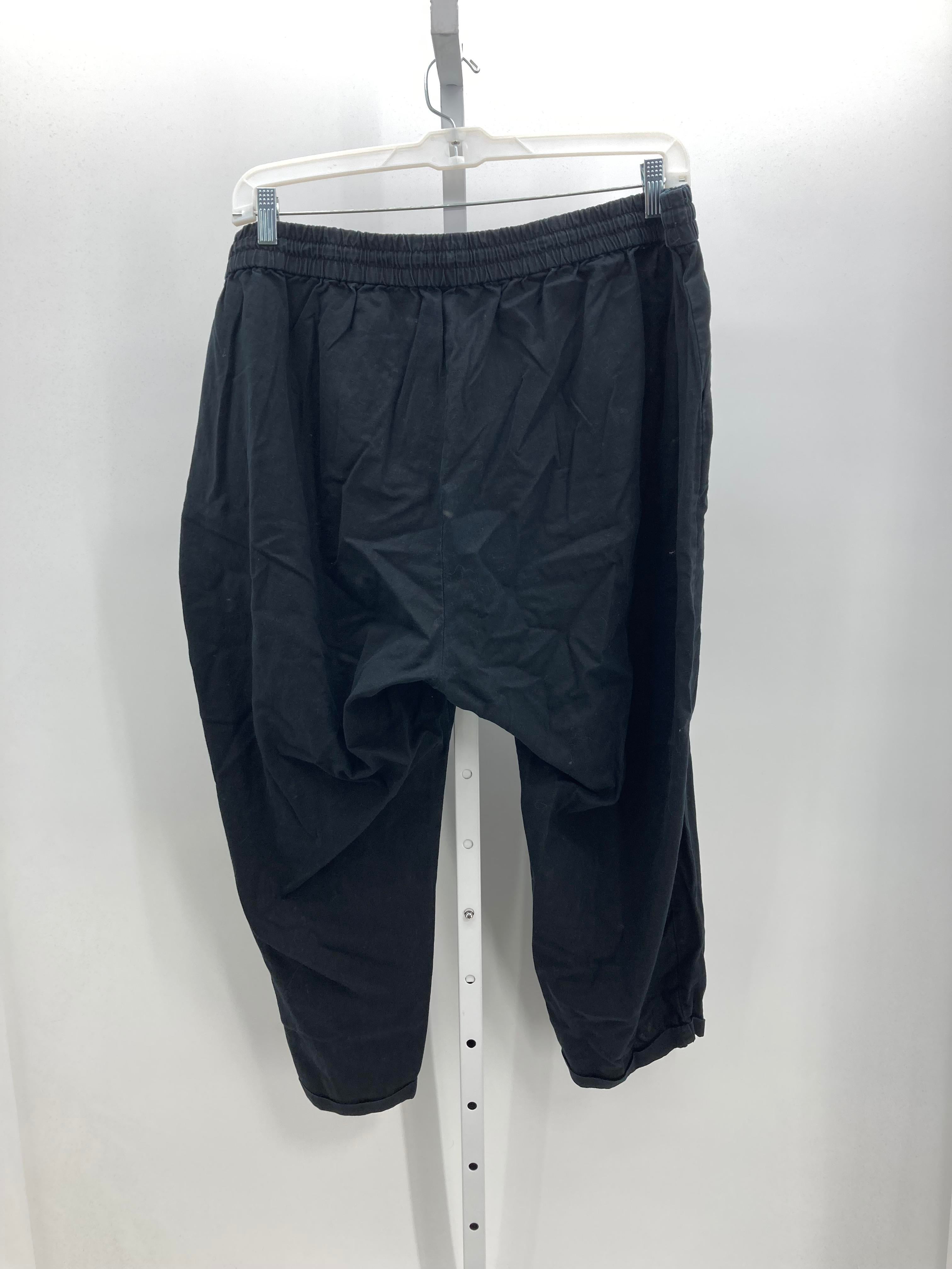 J Crew Size 24 W Womens Pants