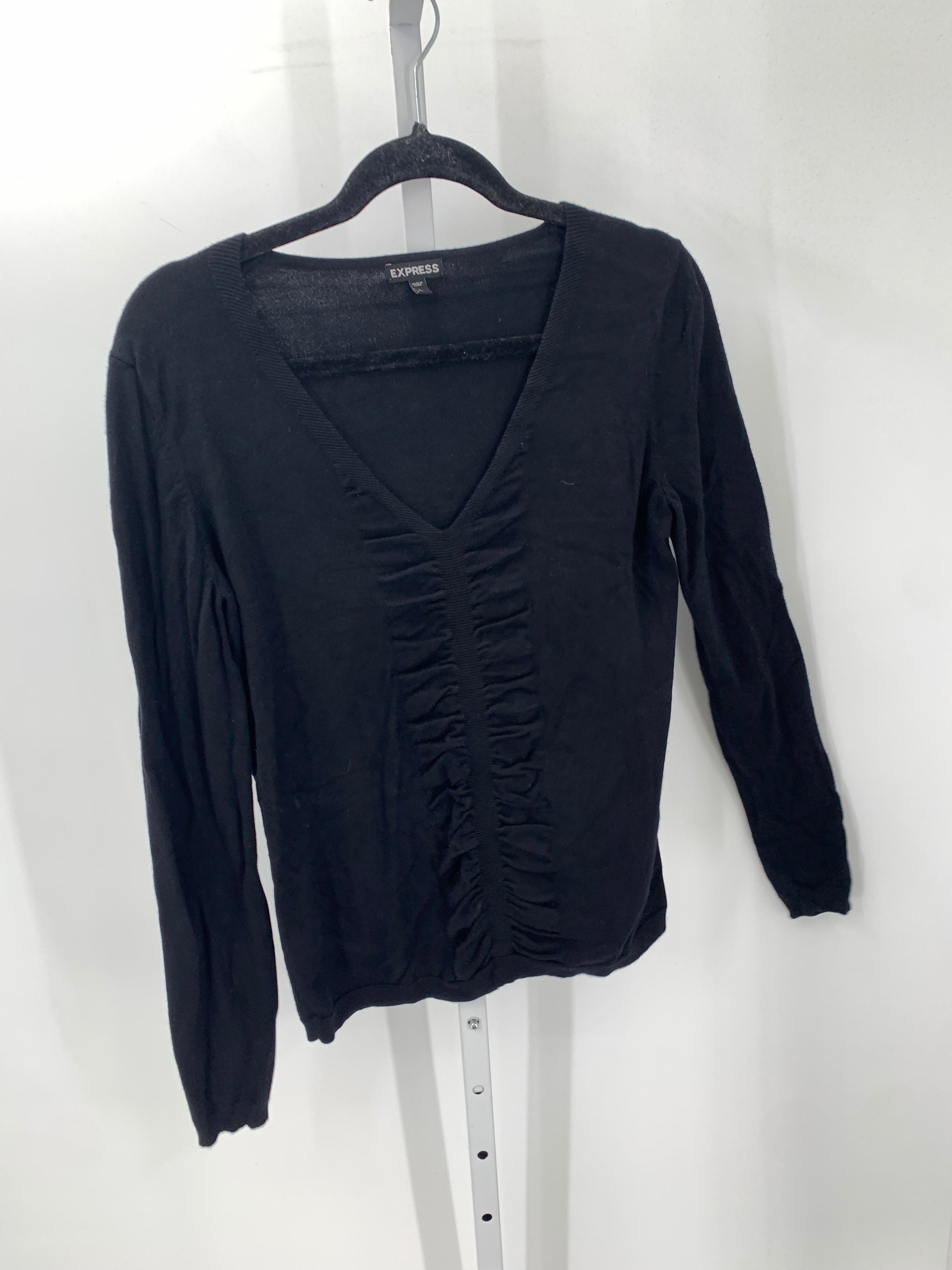 Express Size Large Misses Long Slv Sweater