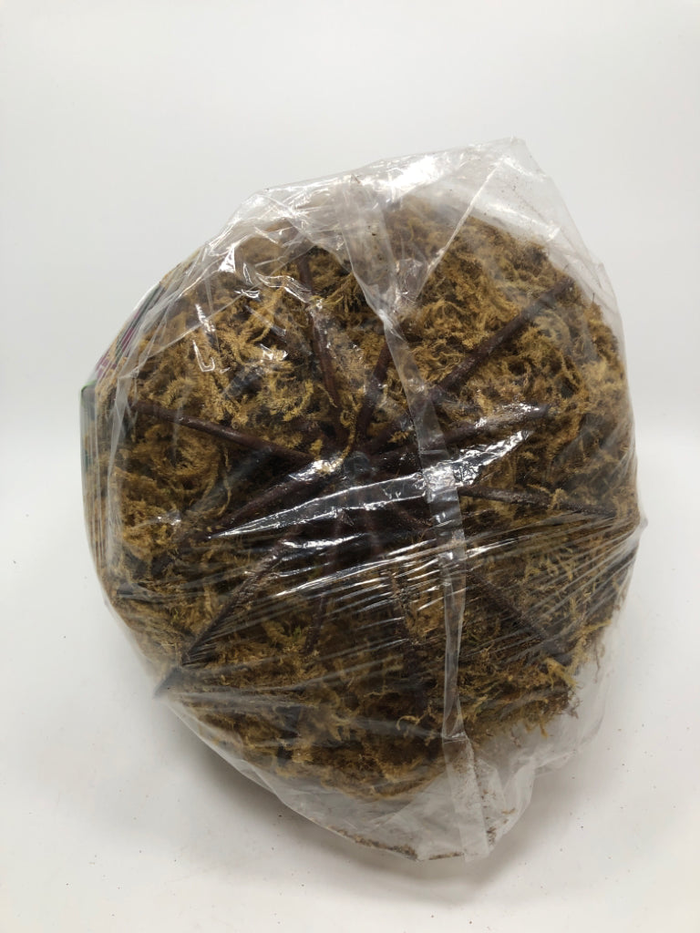 NWT GREEN MOSS PUMPKIN.
