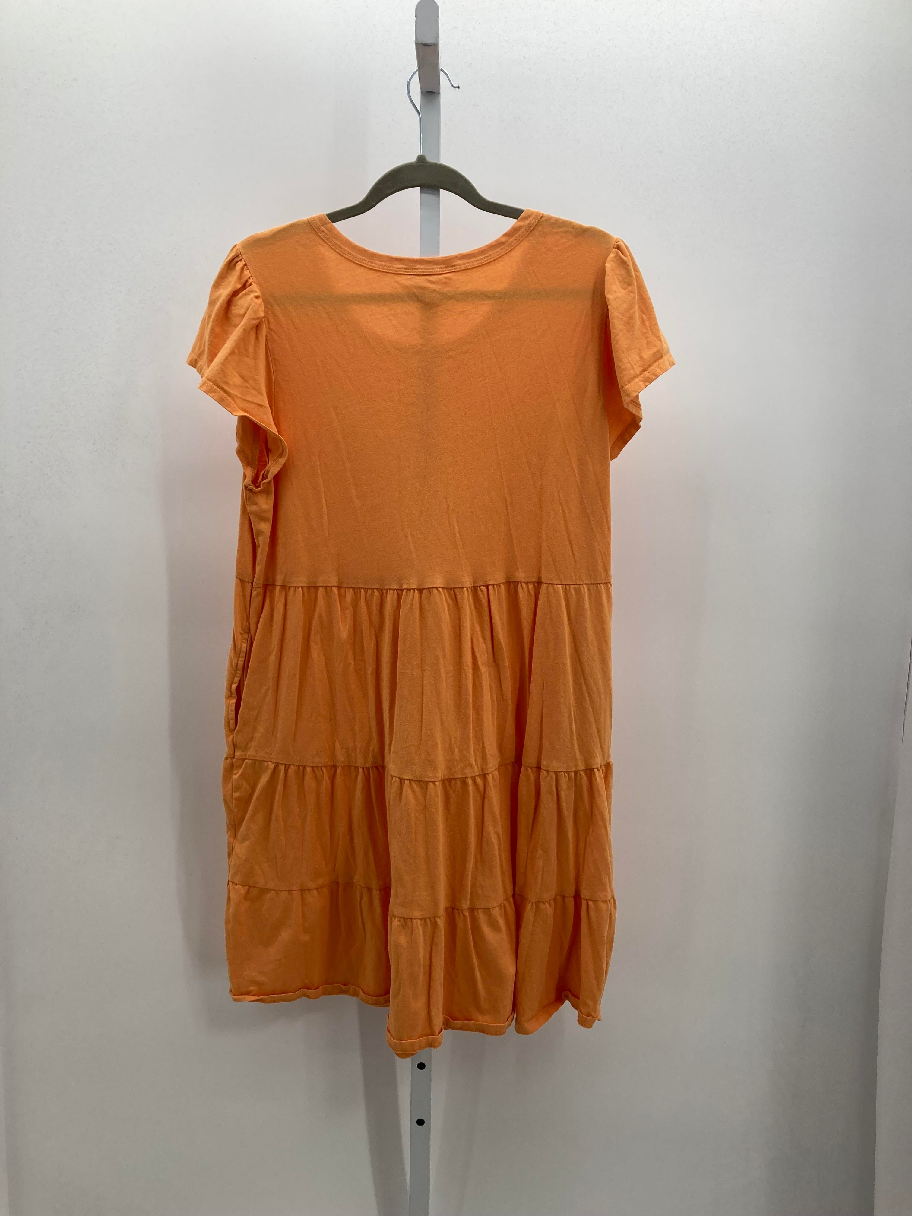 Time and Tru Size Large Misses Short Sleeve Dress