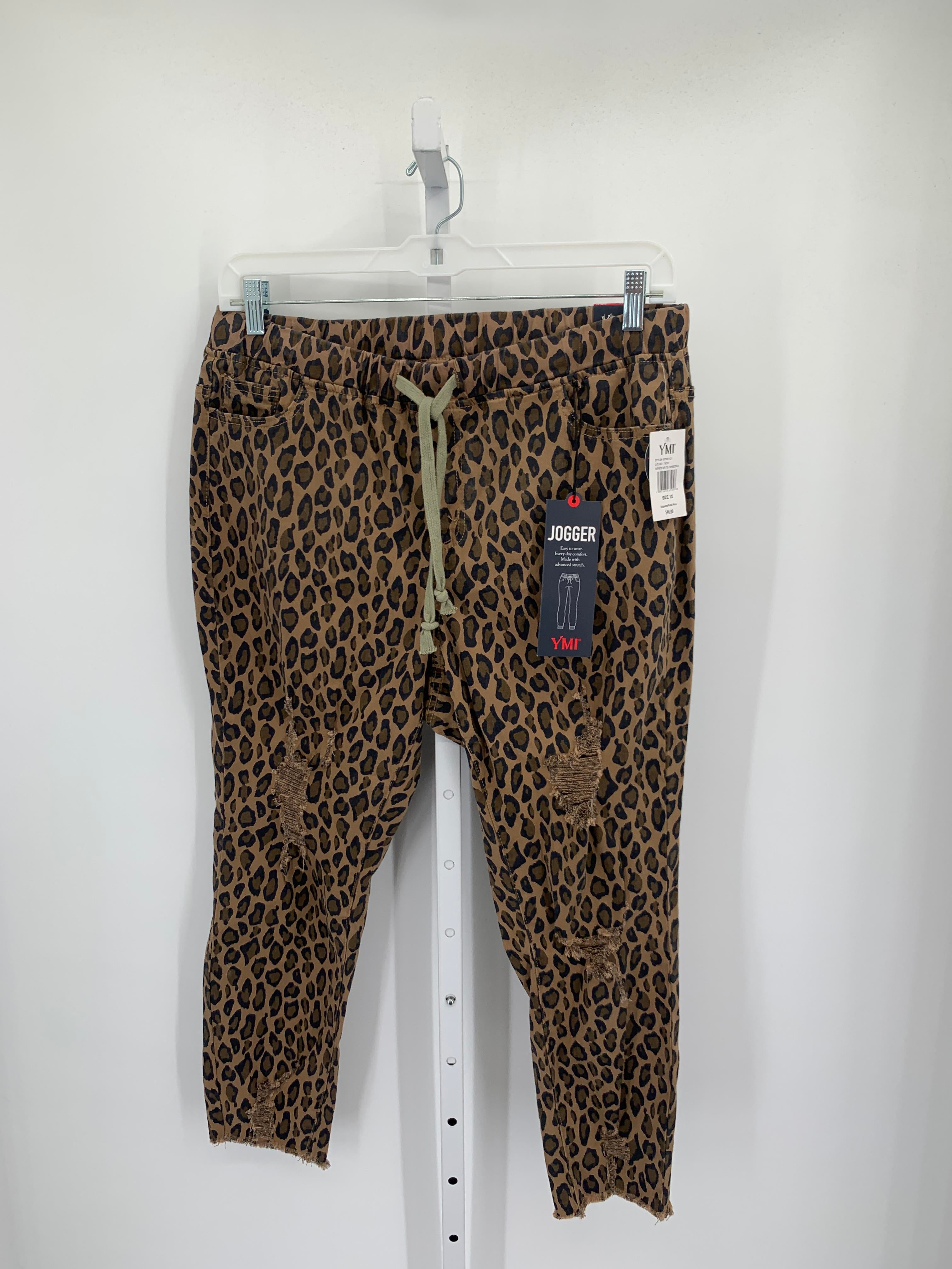 YMI Size 1X Womens Pants