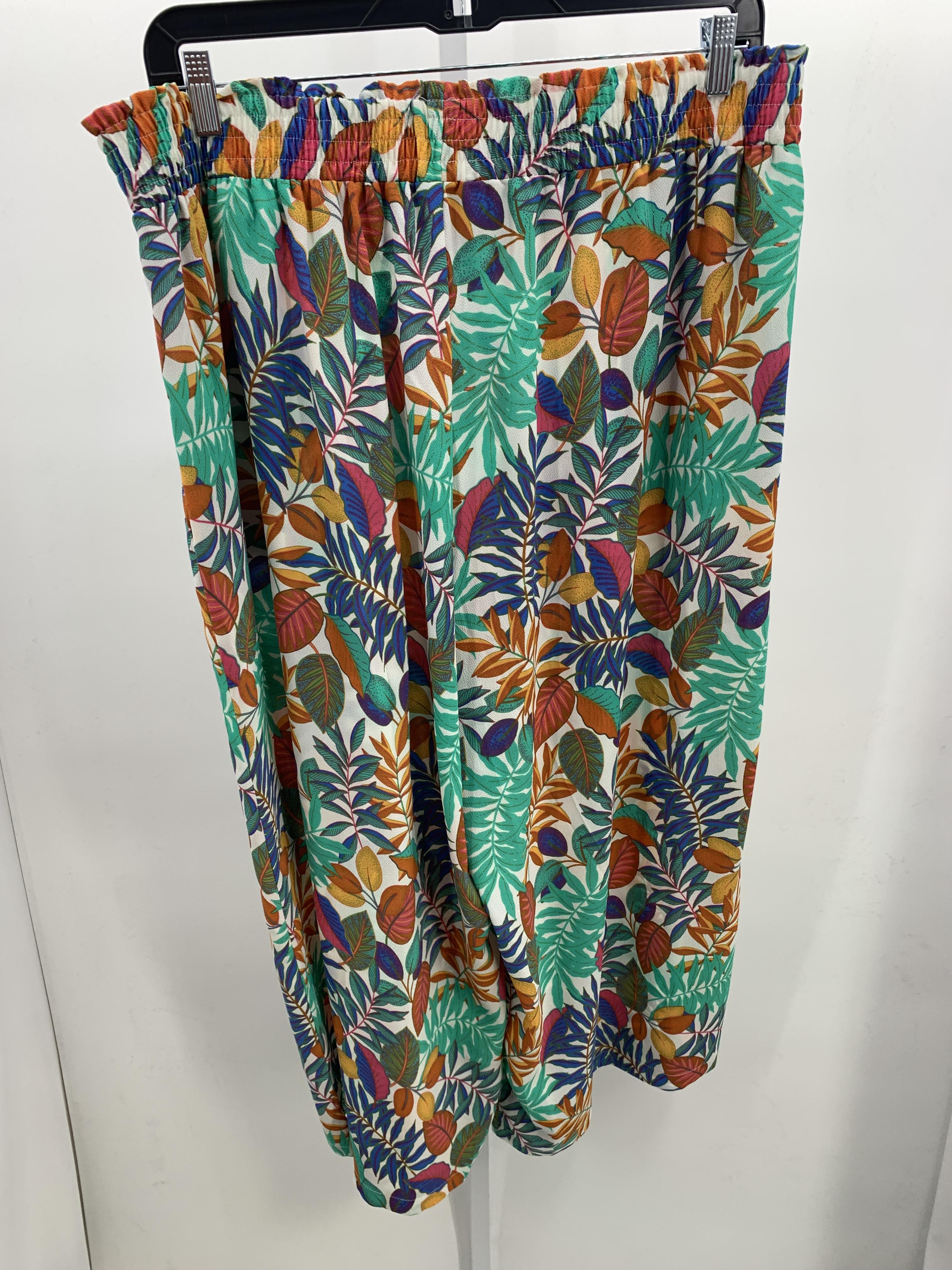 Rose & Olive Size 3X Womens Pants