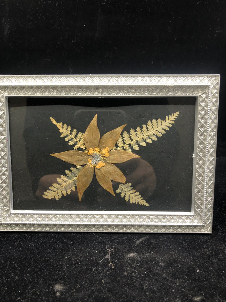 DRIED FERN W FLOWER AND GLITTER FRAME.