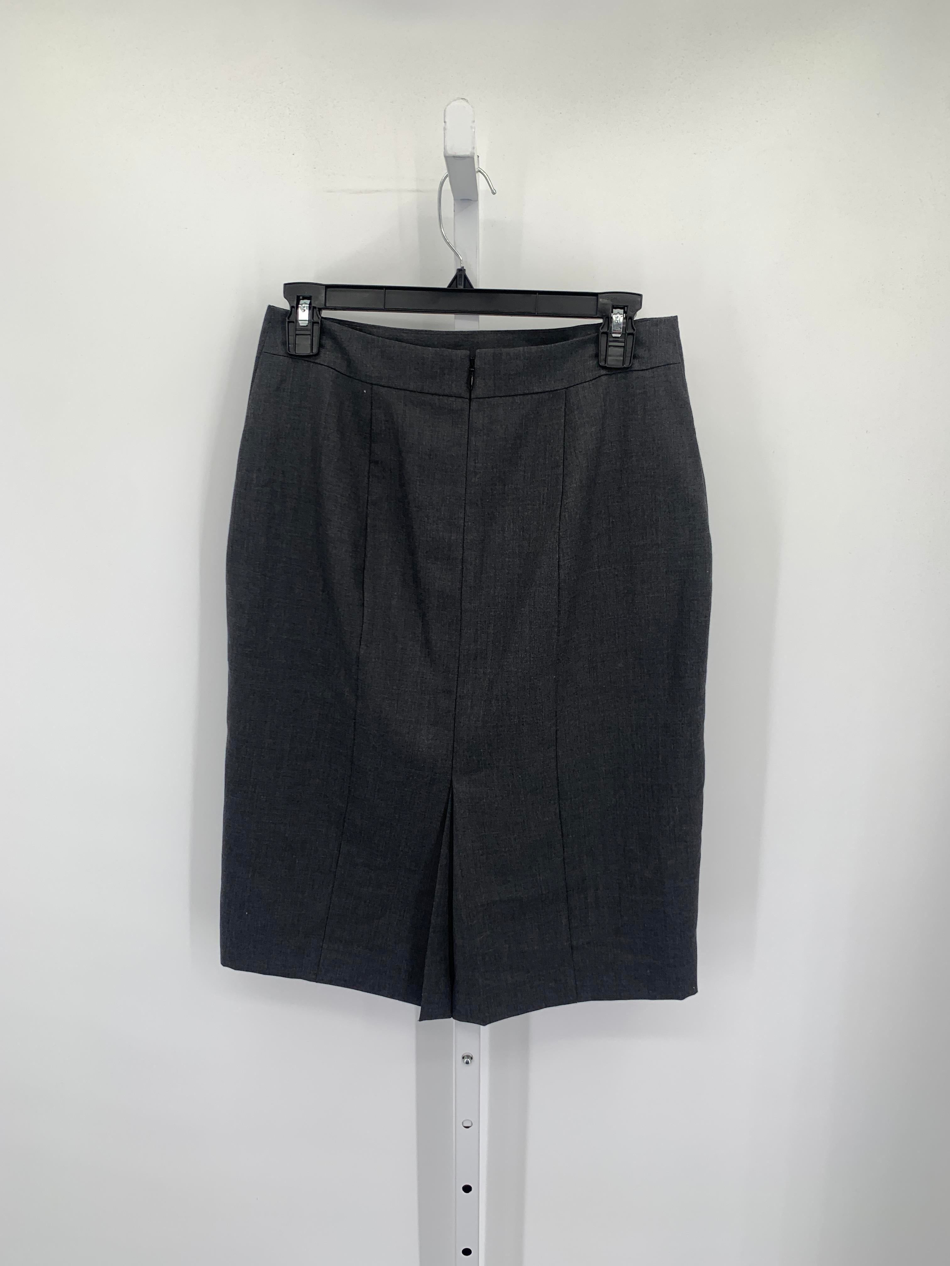 Ann Taylor Size 6 Misses Skirt