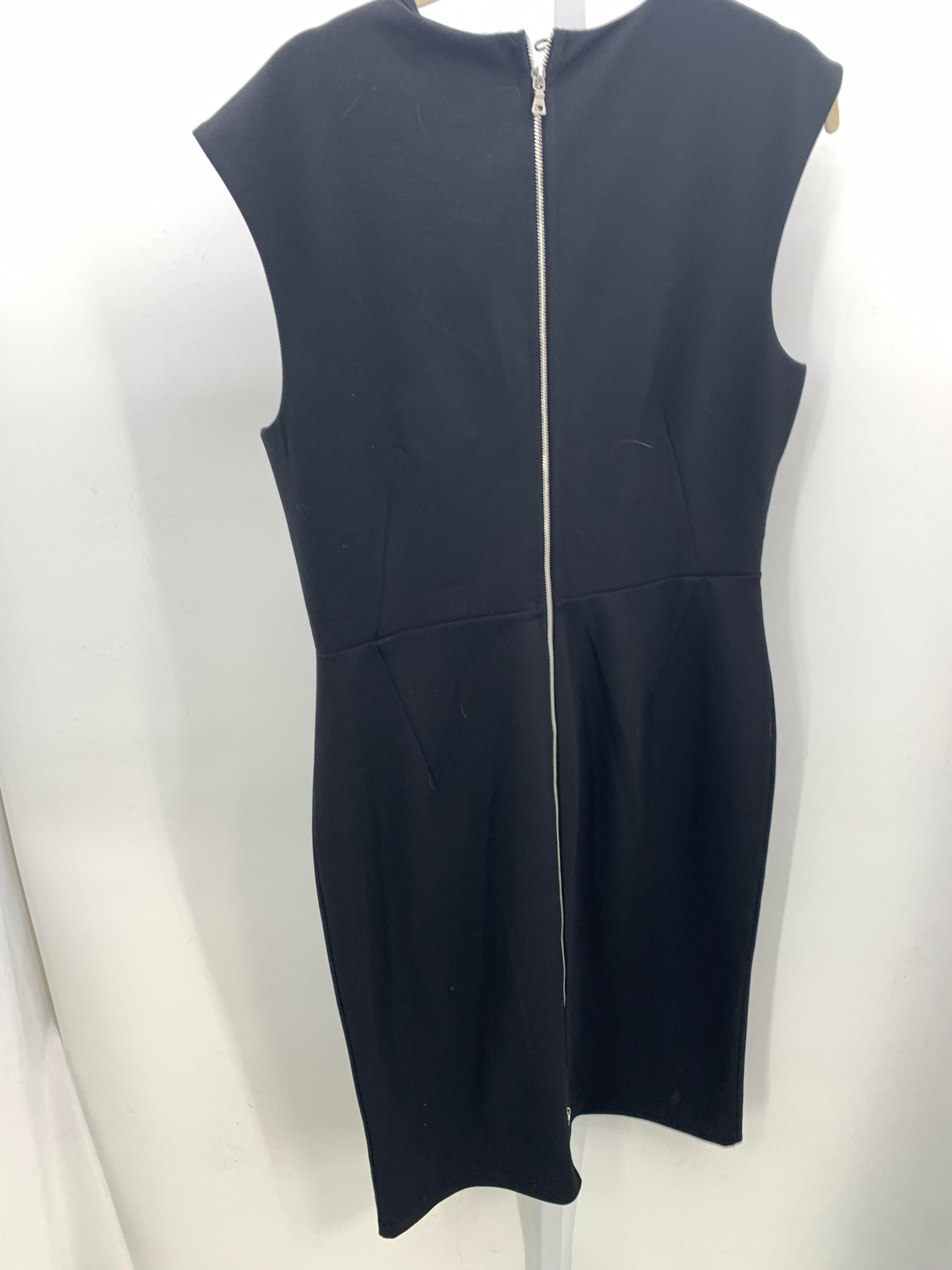 Express Size Large Misses Sleeveless Dress