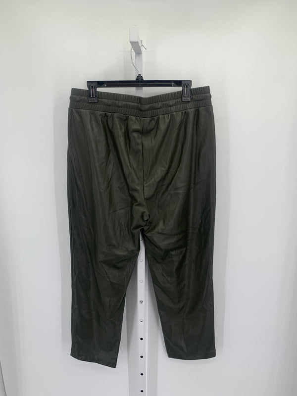 Loft Size Large Misses Pants