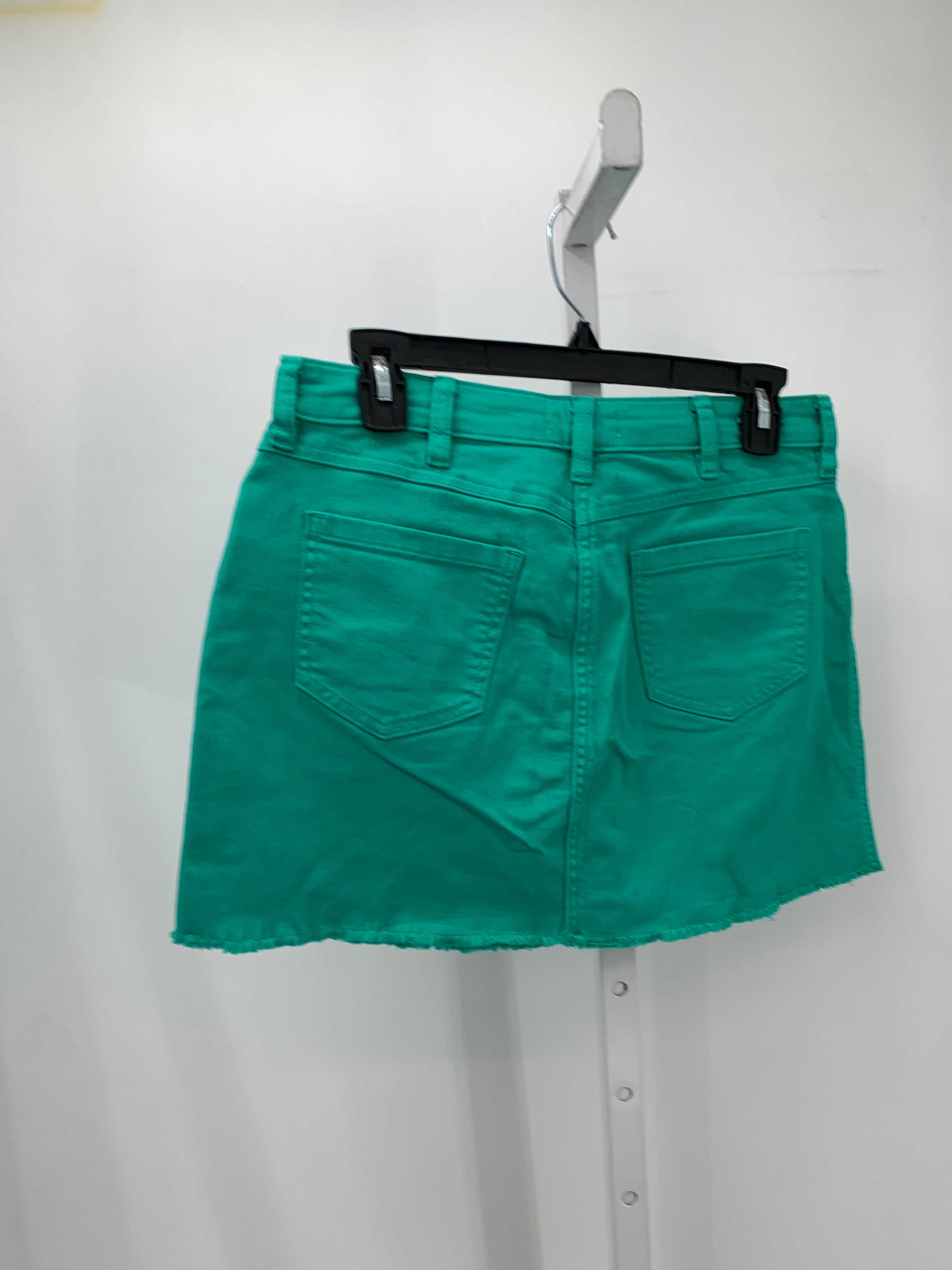 Size 2 Misses Skirt