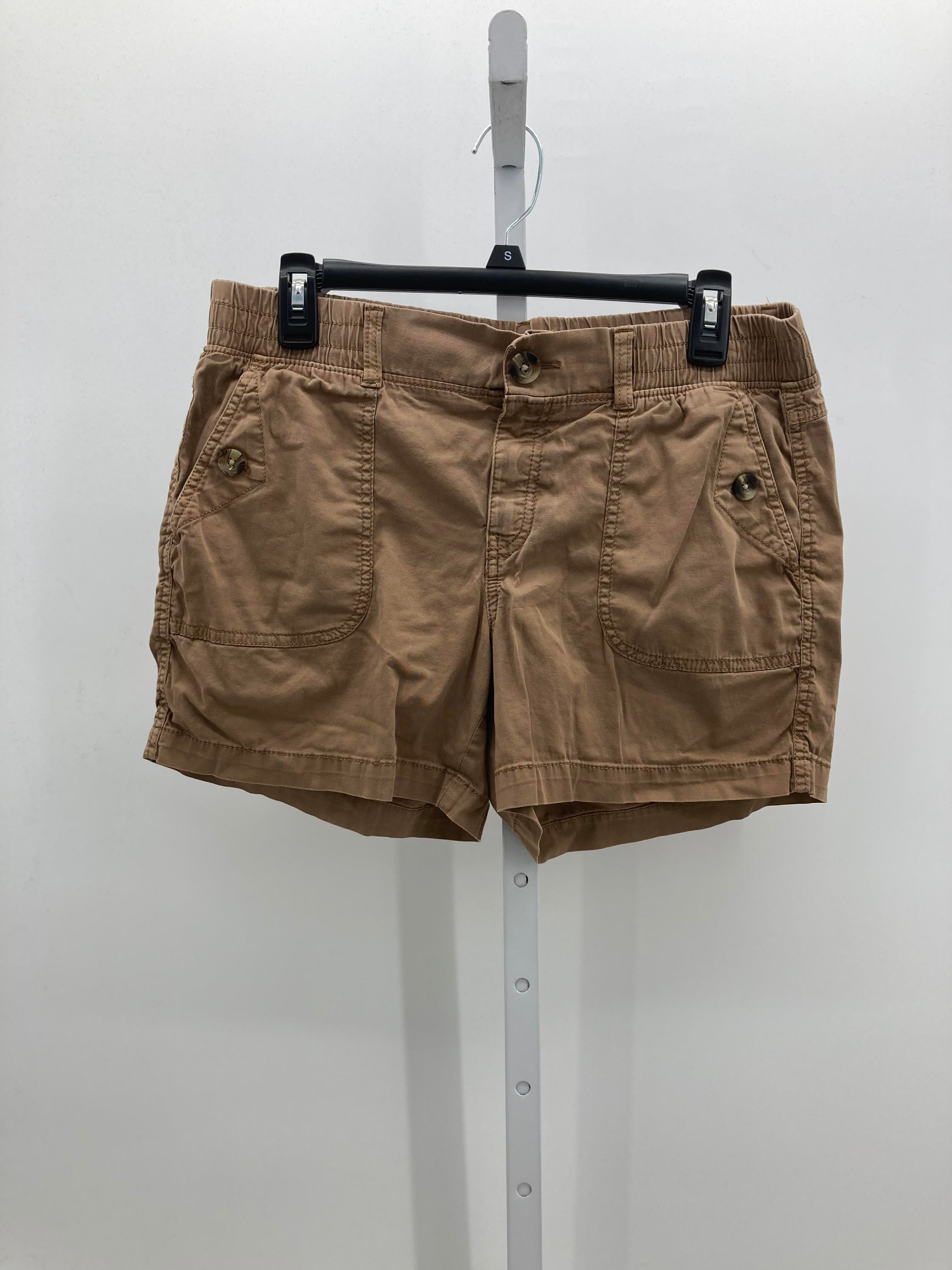 Sonoma Size 10 Misses Shorts
