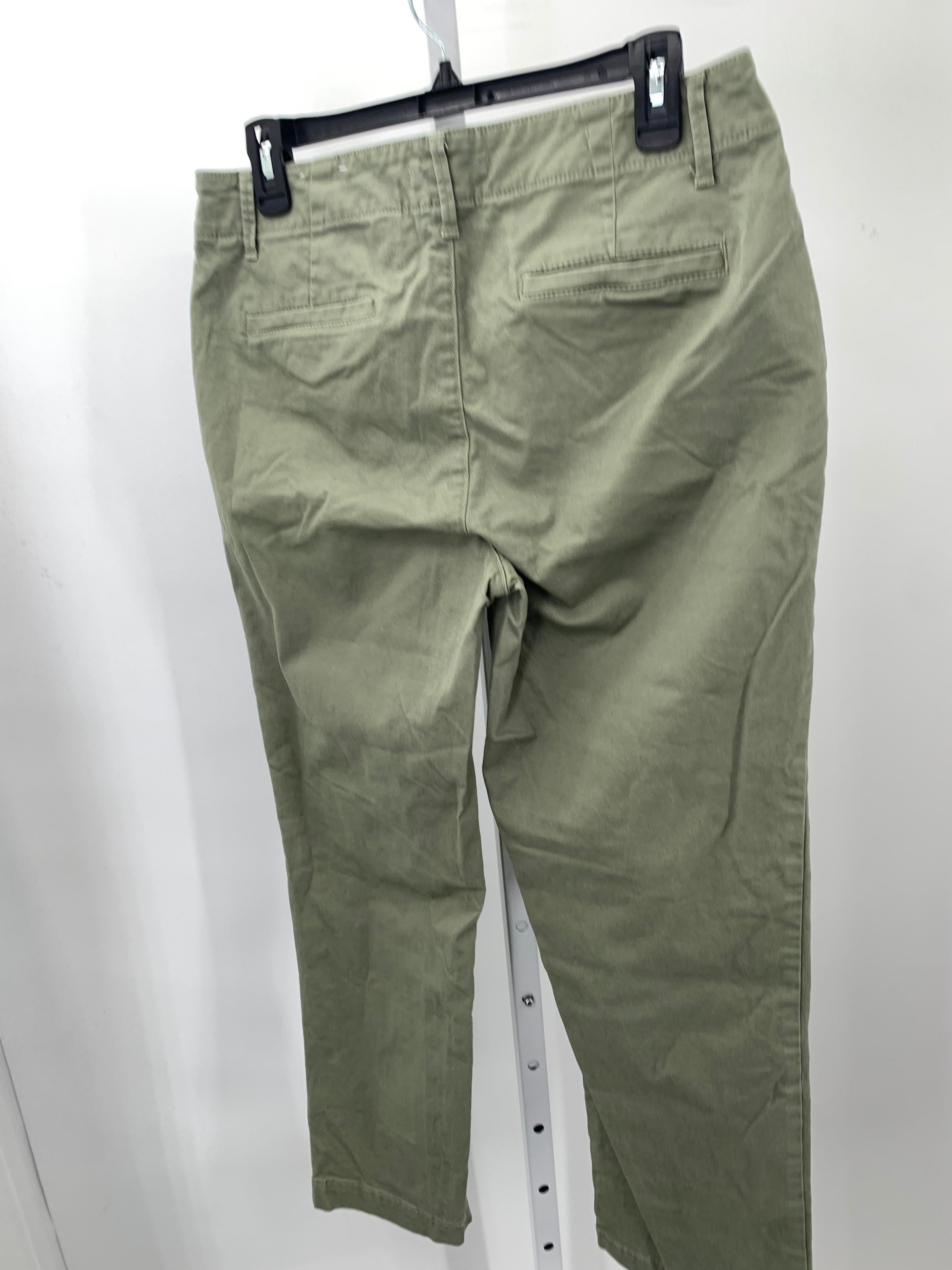 Loft Size 6 Misses Pants