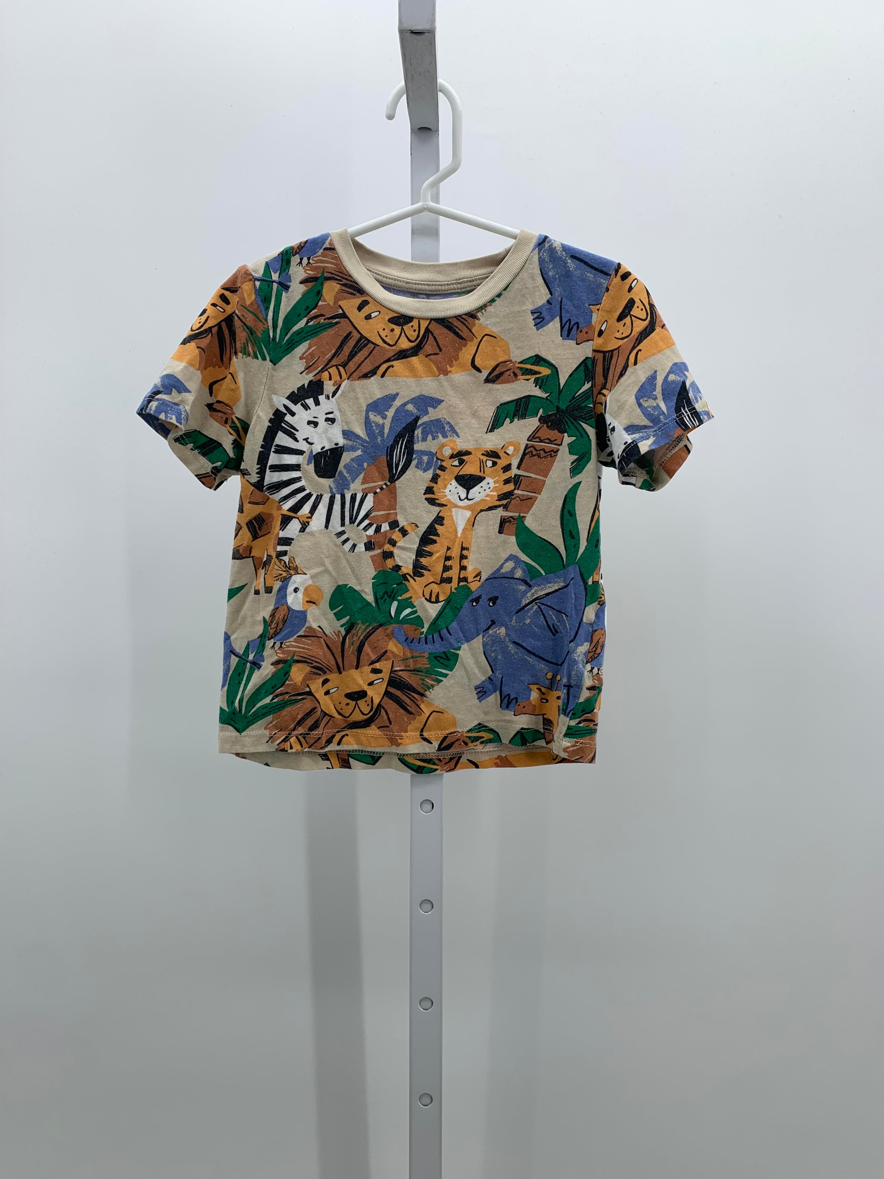 ANIMALS PALM TREES