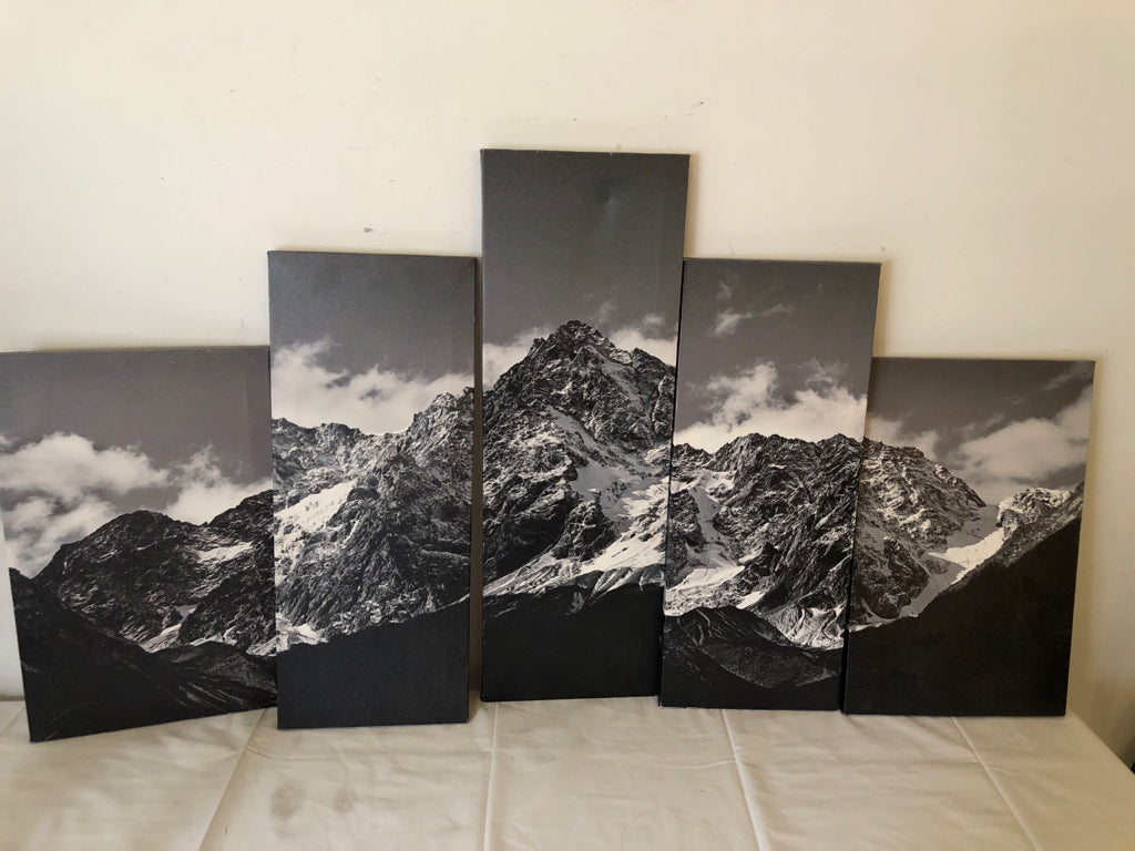 5PC BLACK AND WHITE MOUNTAIN CANVAS WALL ART.