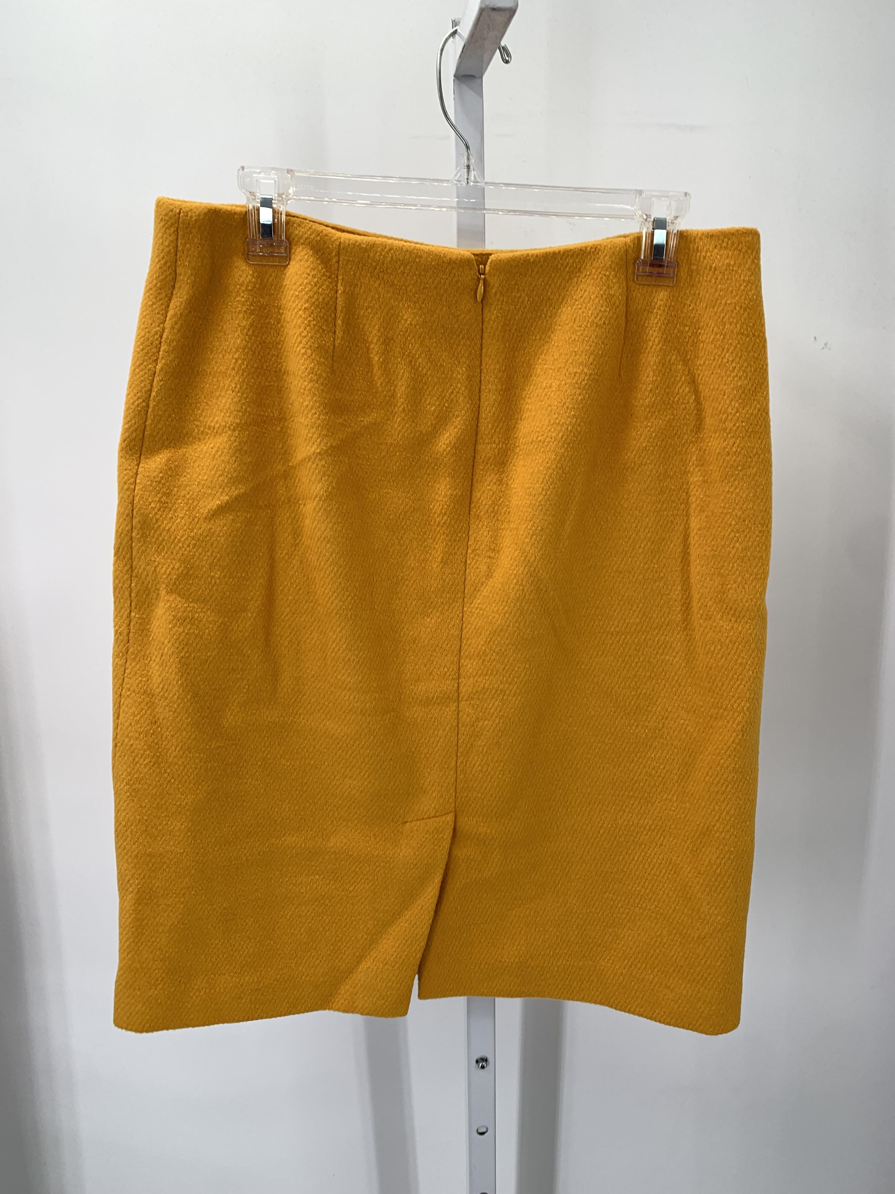 Talbots Size 10 Misses Skirt