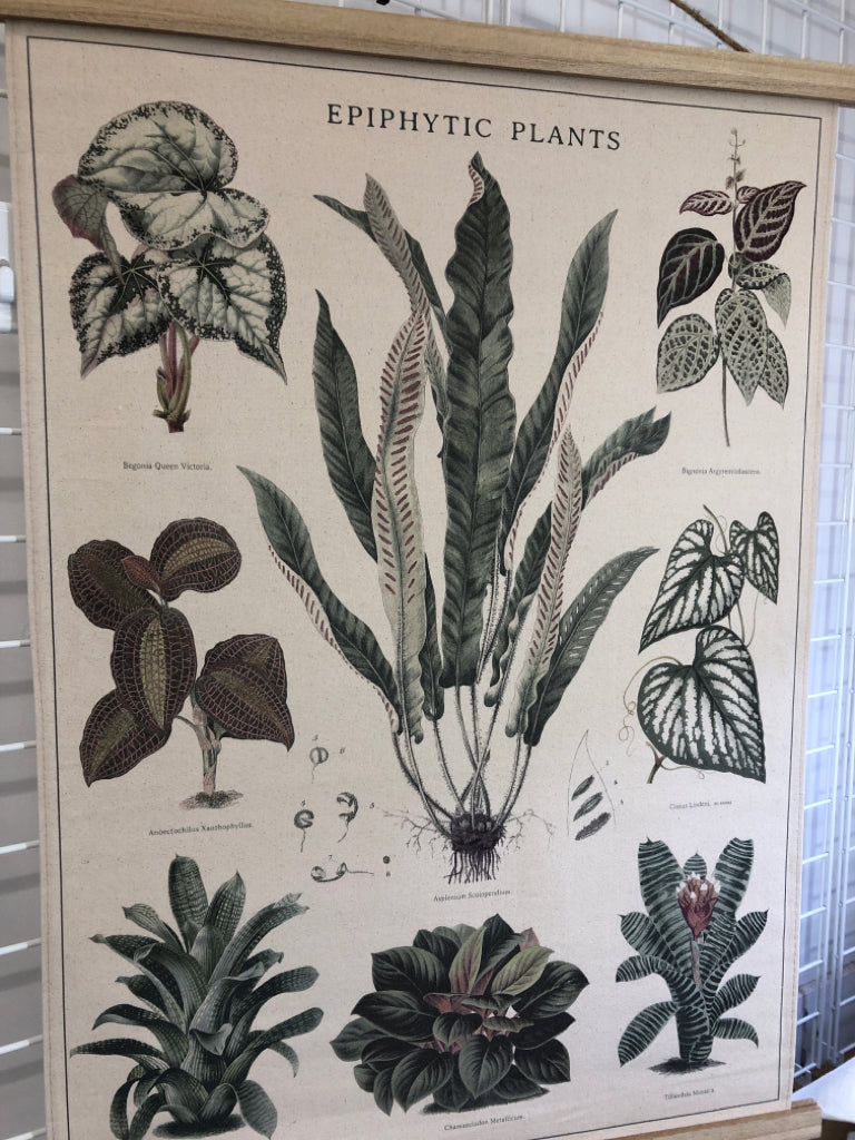 EPIPHYTIC PLANTS CANVAS TAPESTRY.