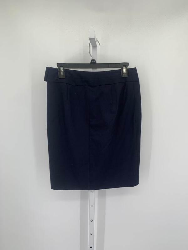 The Limited Size 2 Misses Skirt