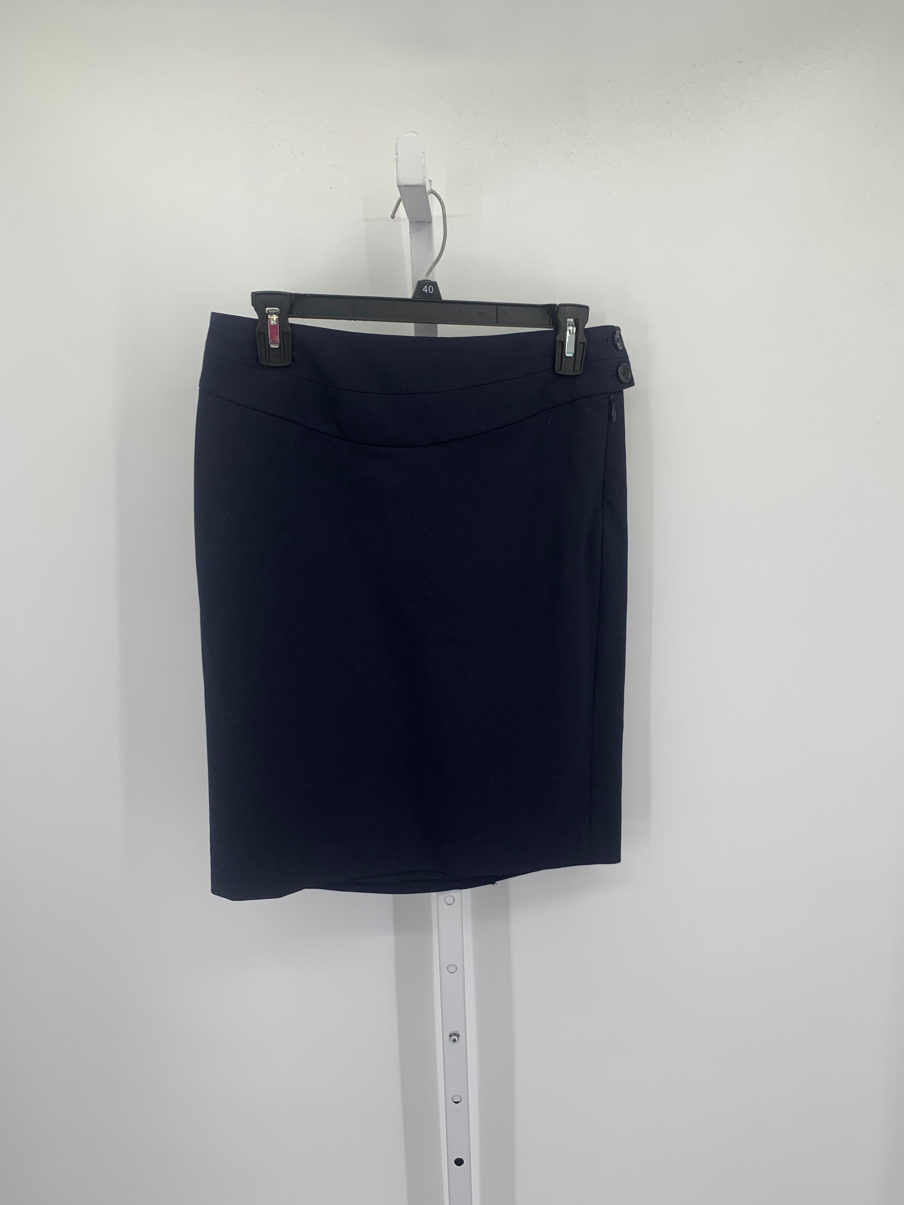 The Limited Size 2 Misses Skirt