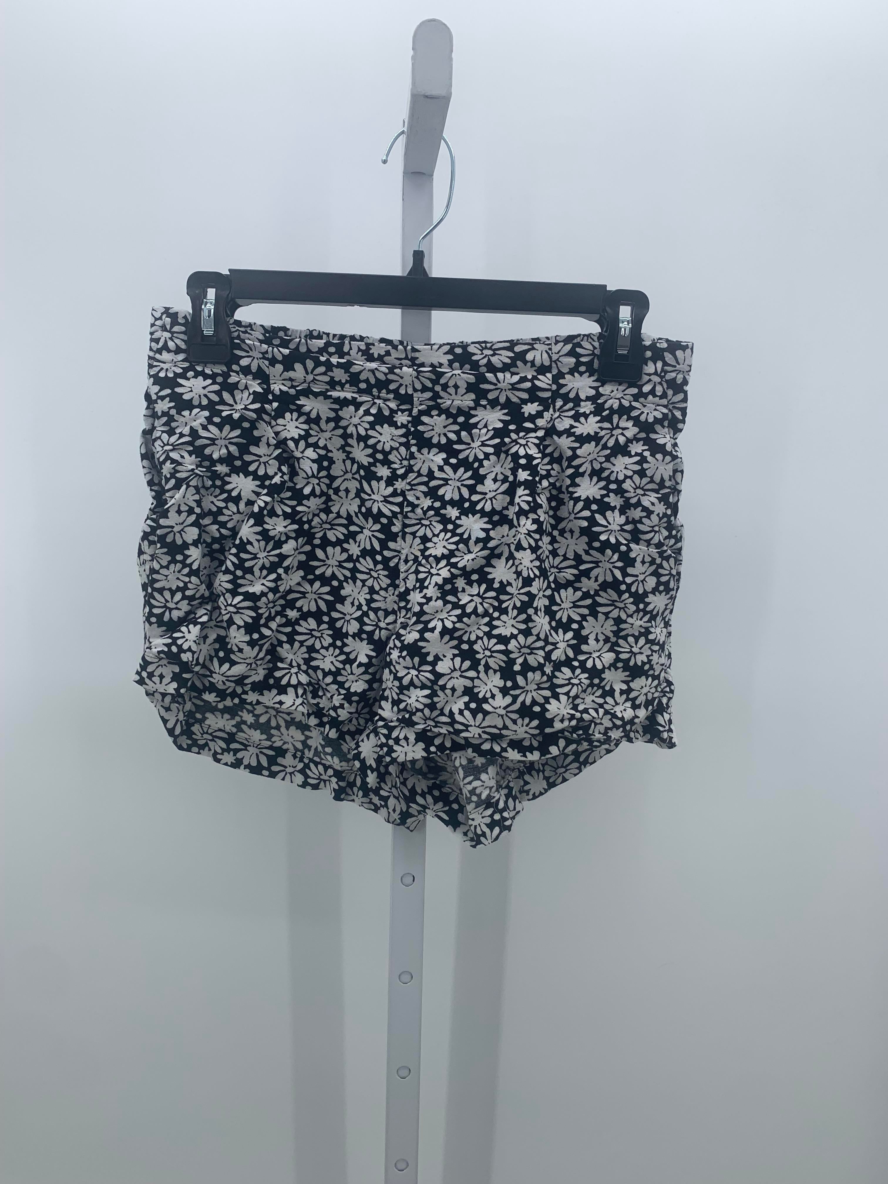Loft Size X Small Misses Shorts