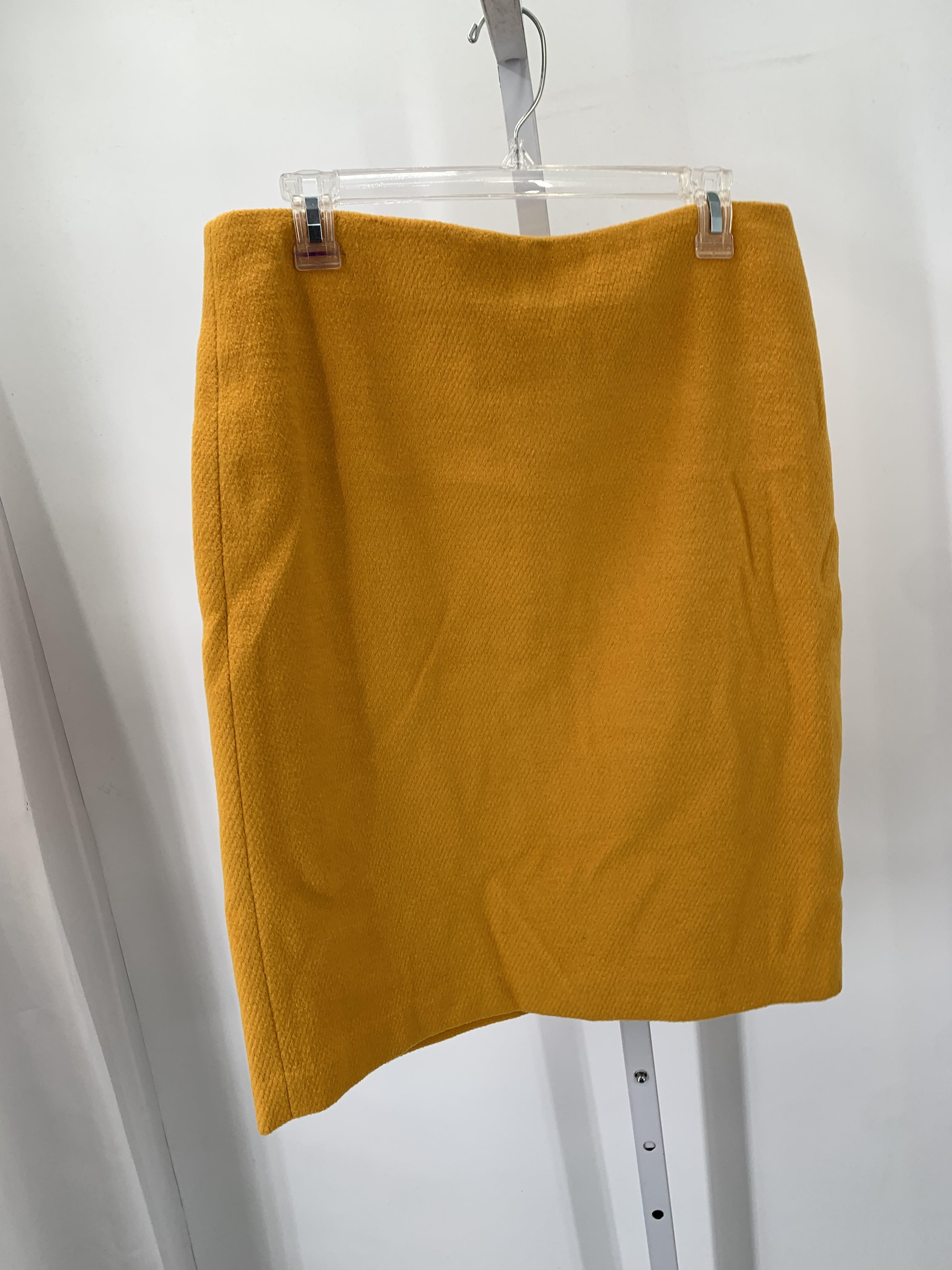 Talbots Size 10 Misses Skirt