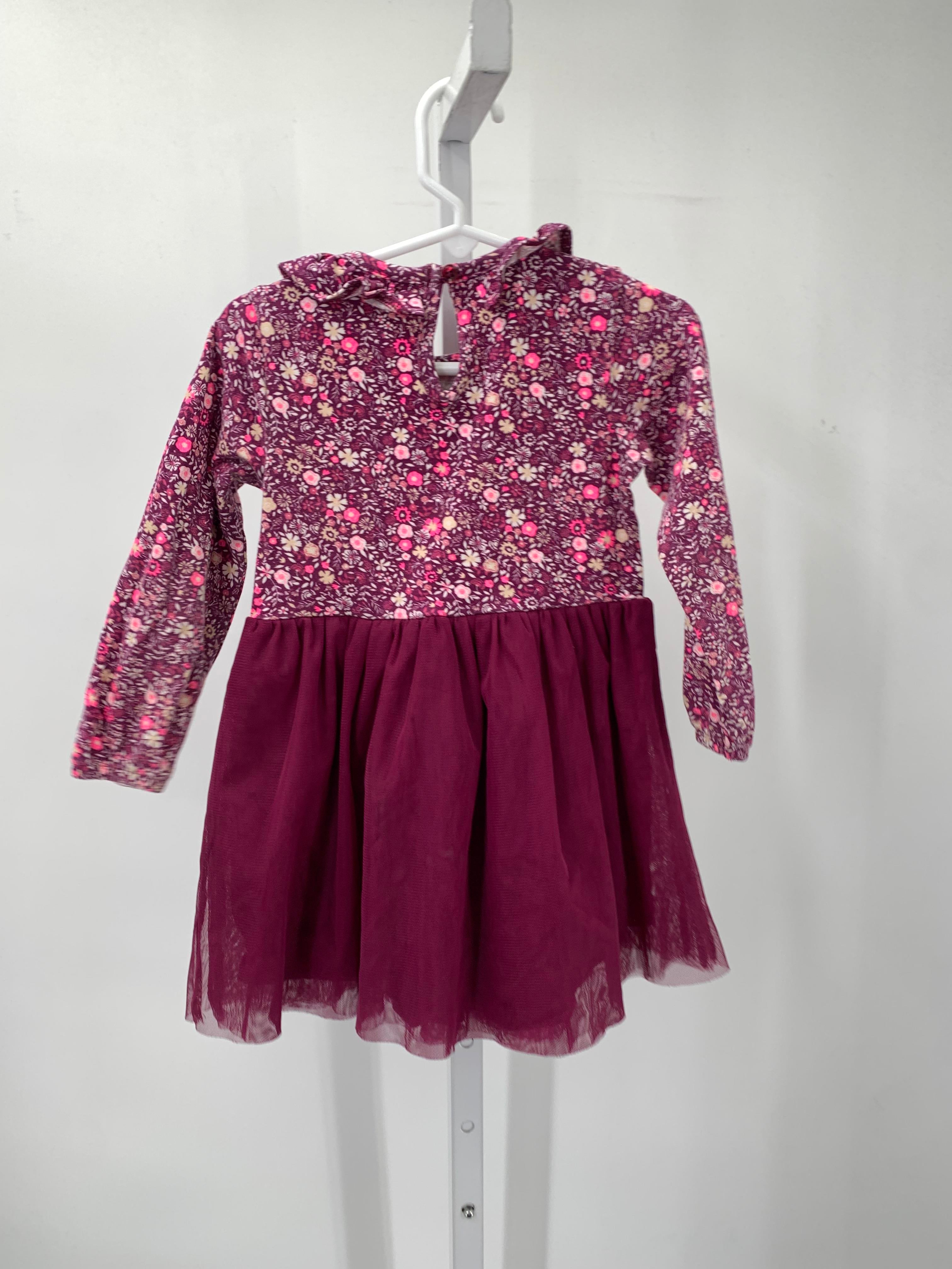 Size 2-3 Girls Long Sleeve Dress