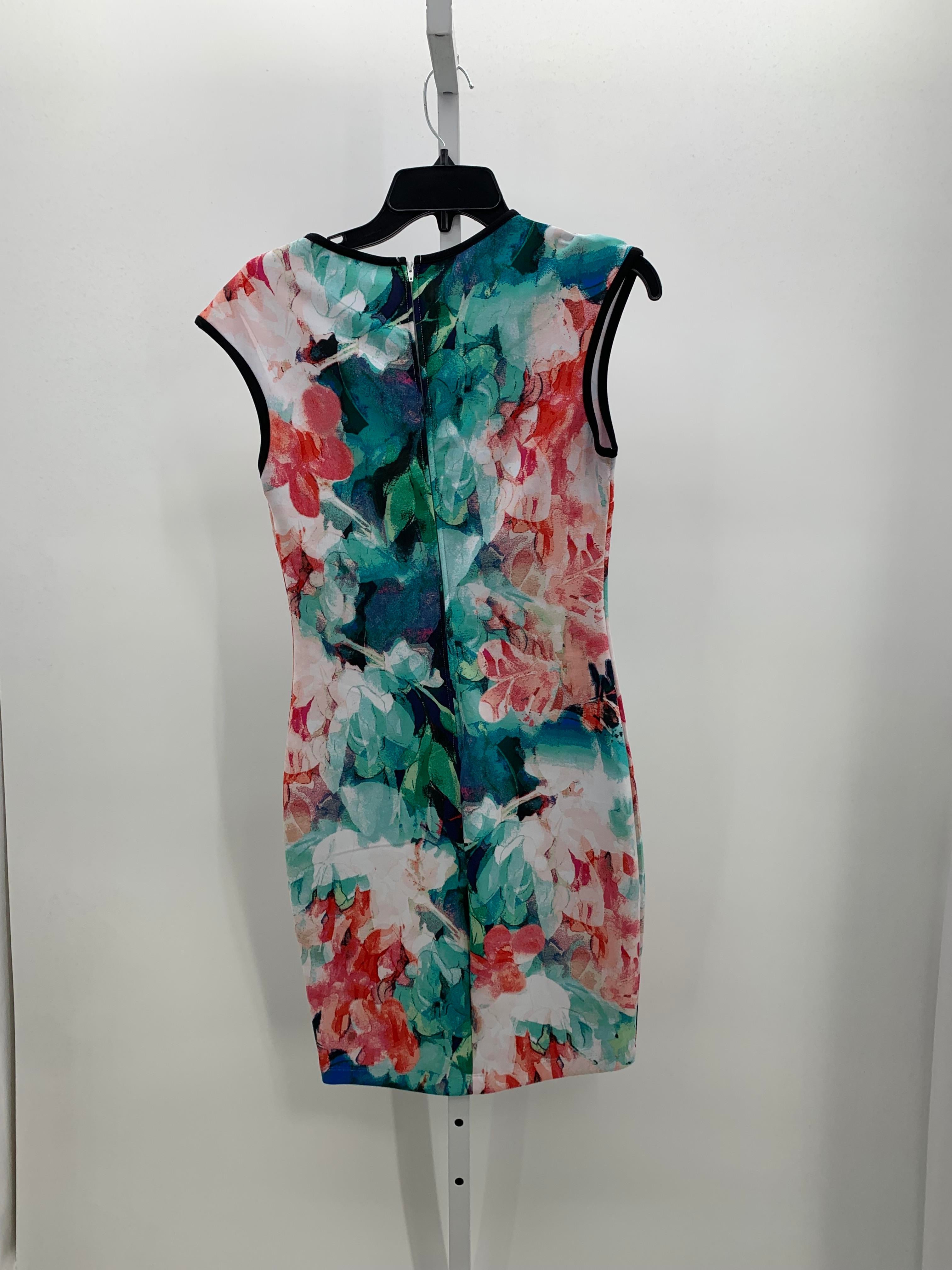 Bisou Bisou Size 6 Misses Sleeveless Dress