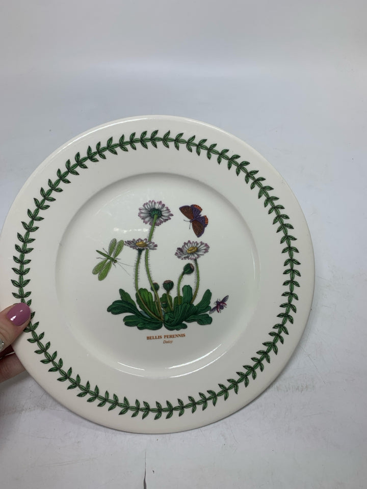 BELLIS PERENNIS PLATE.