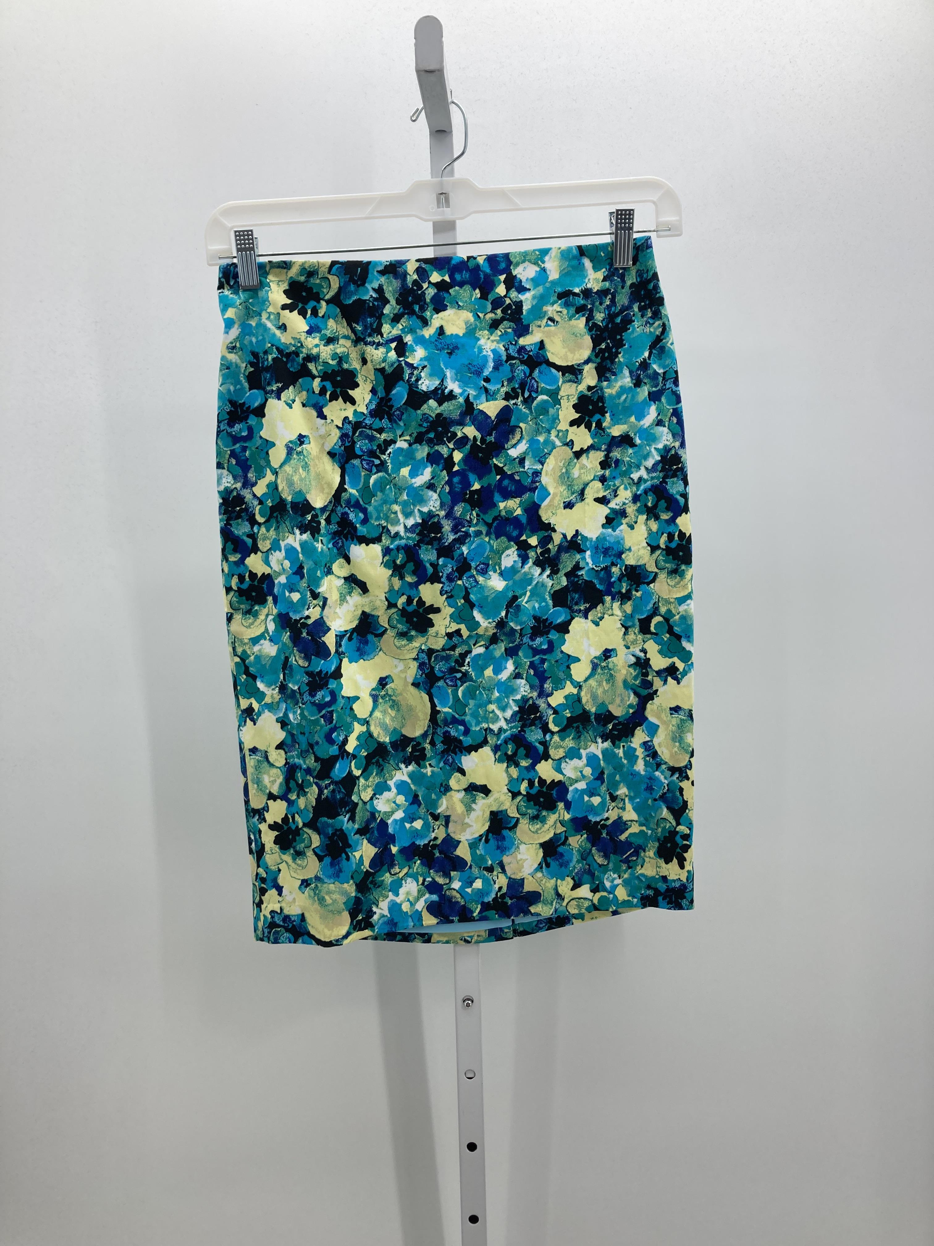 Ann Taylor Size 6 Petite Petite Skirt