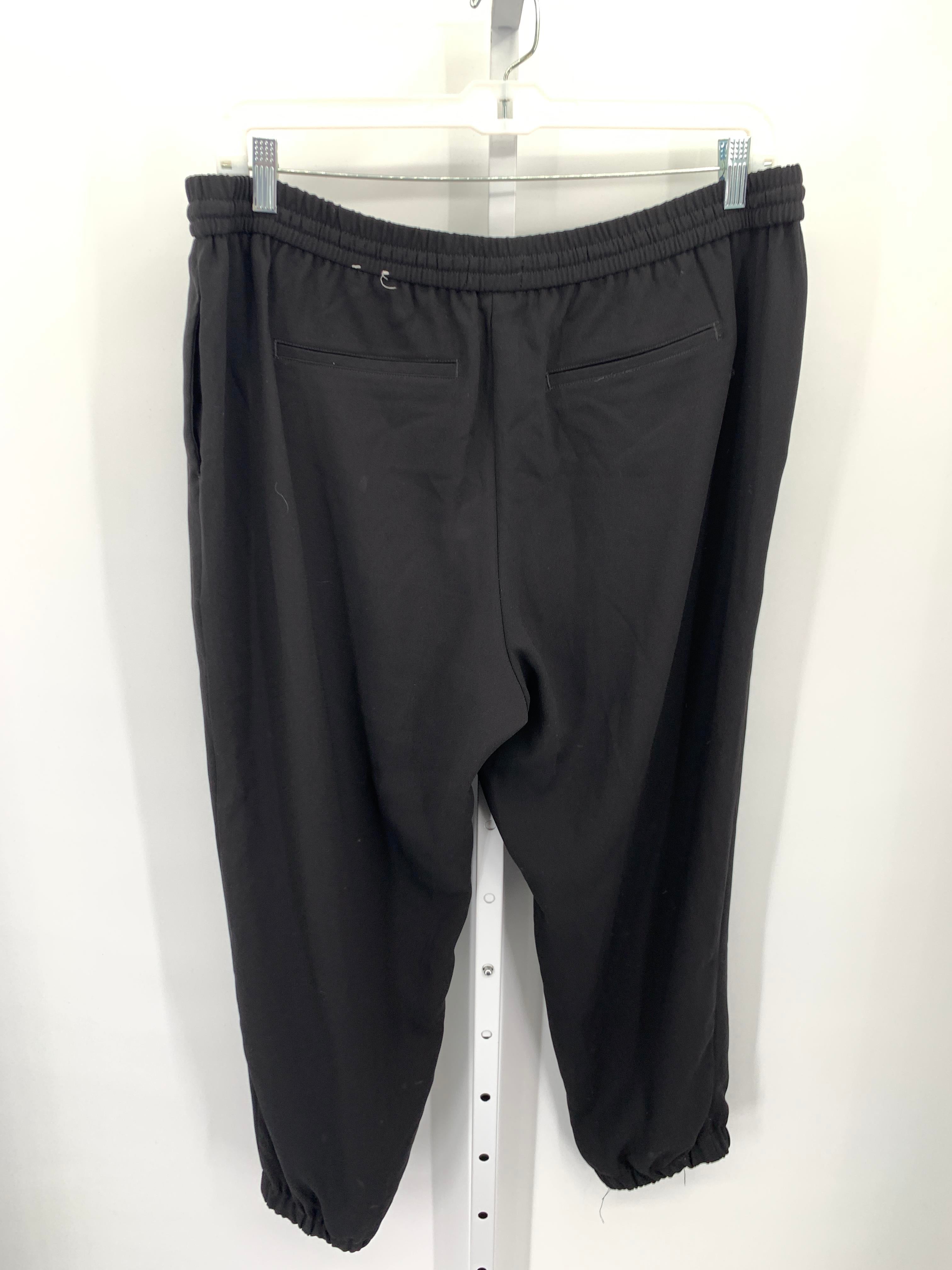 Express Size Extra Large Misses Pants