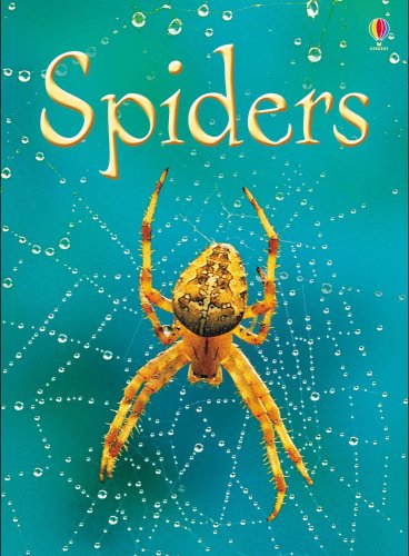 Spiders (Beginners) by Rebecca Gilpin (Hardcover) - Rebecca Gilpin Rebecca Gilpi