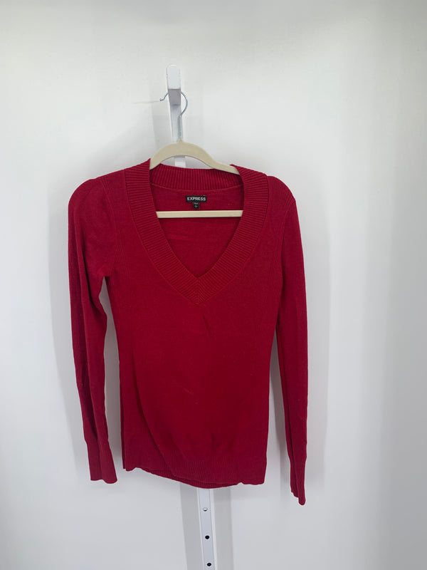 Express Size Large Misses Long Slv Sweater