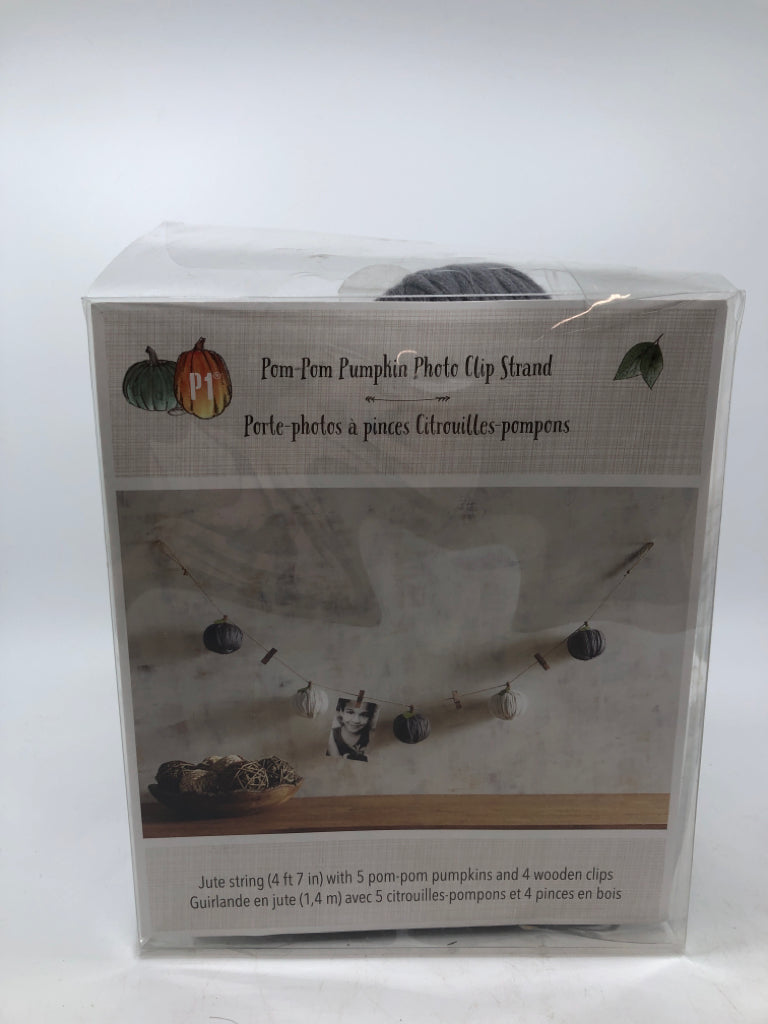 POM POM PUMPKIN PHOTO CLIP STRAND IN BOX.