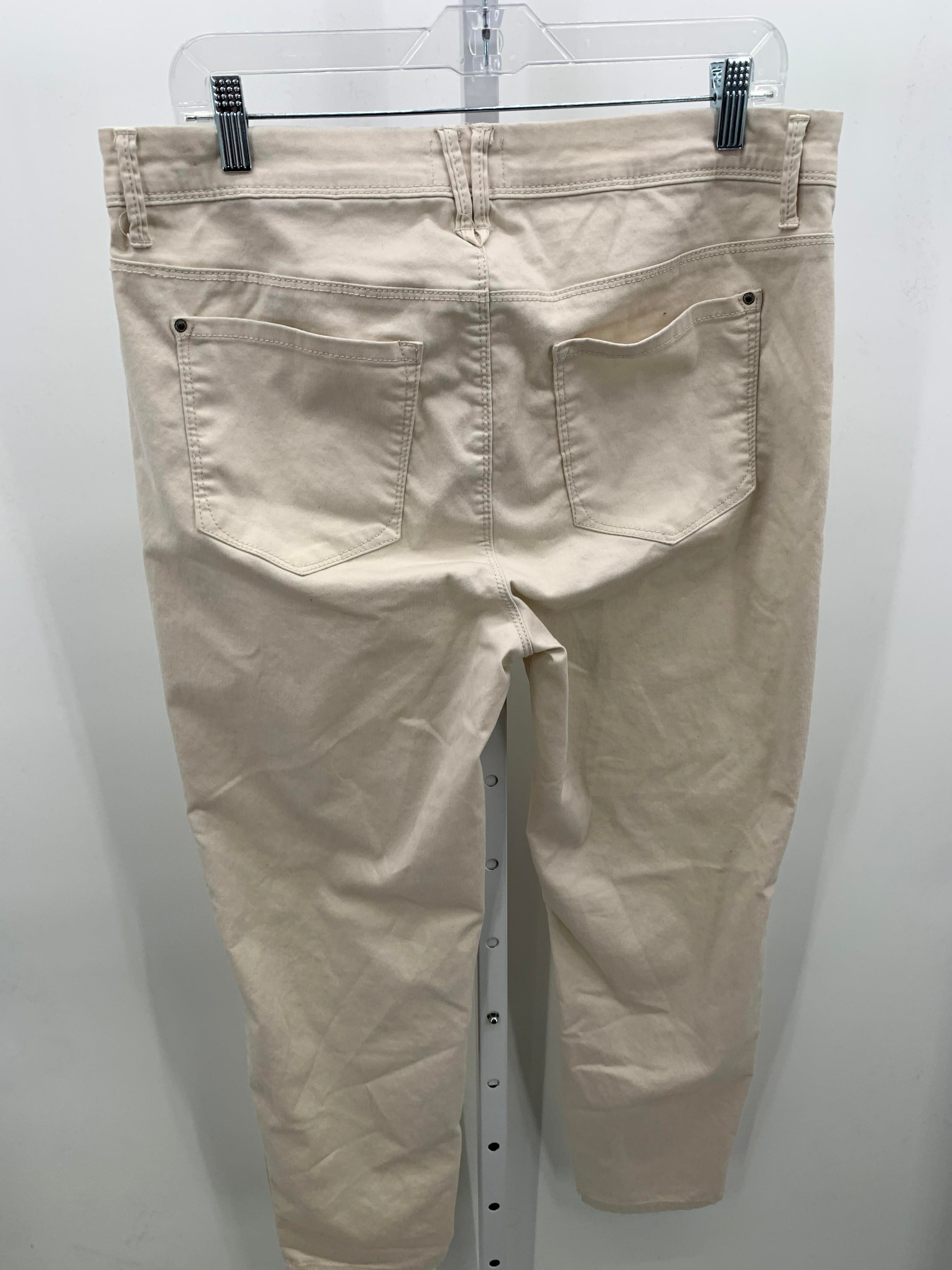Curve Appeal Size 4 Misses Pants
