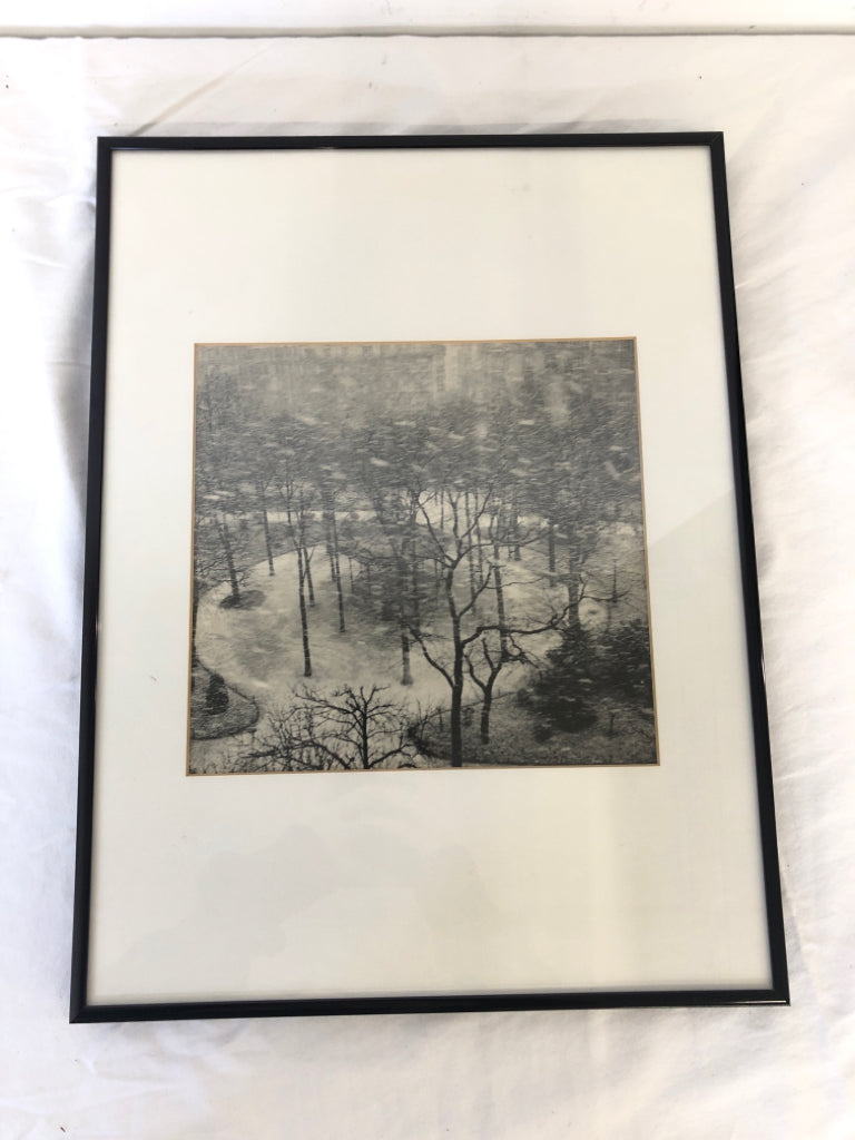 BLACK/WHITE TREES FRAMED PRINT.