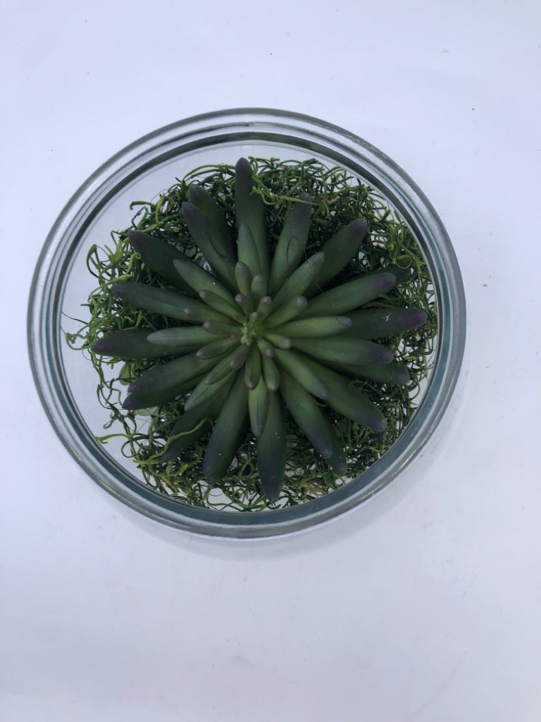 FAUX SUCCULENT IN FISH BOWL.