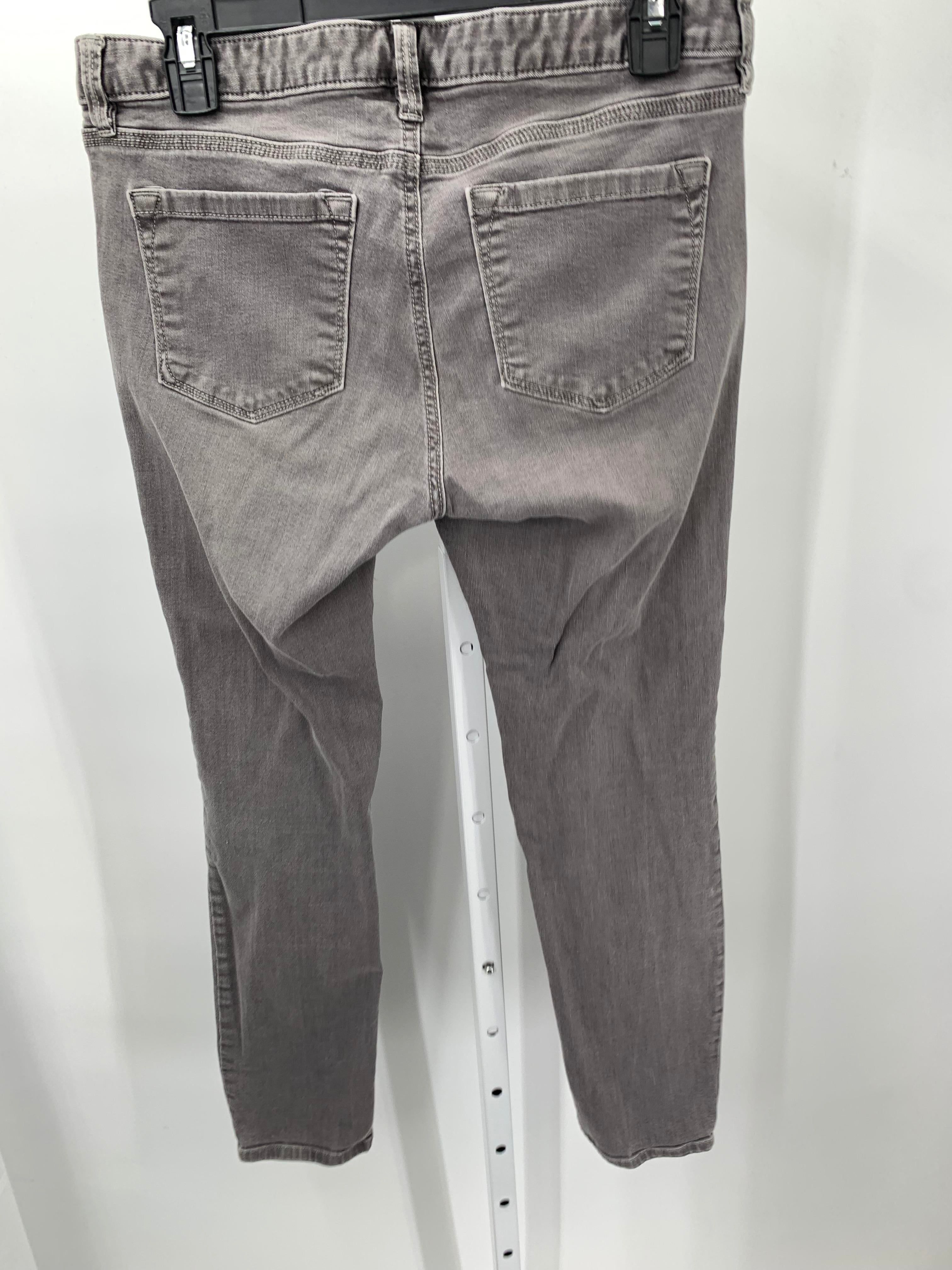 Loft Size 8 Petite Petite Jeans