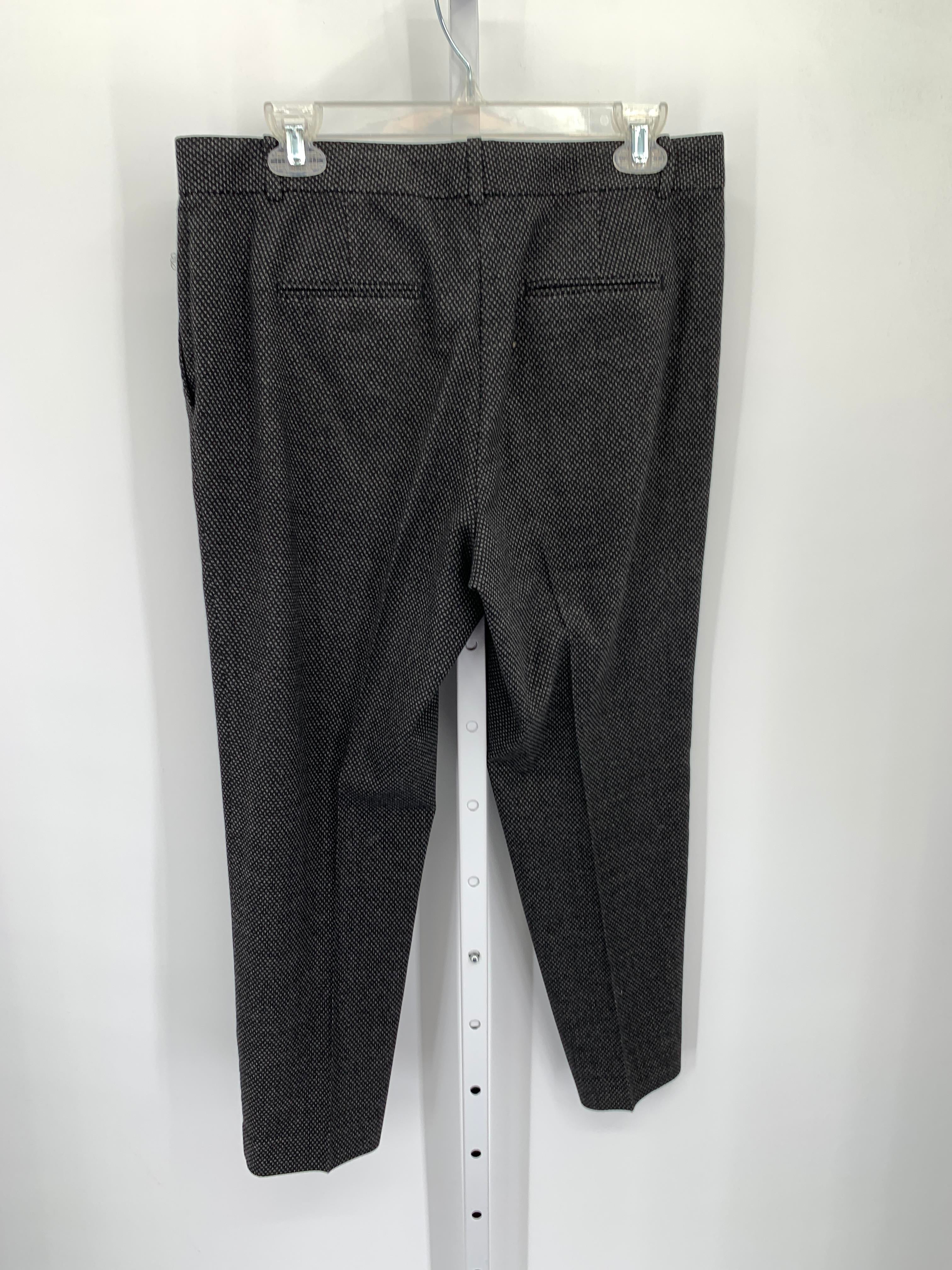 Ann Taylor Size 10 Petite Petite Pants