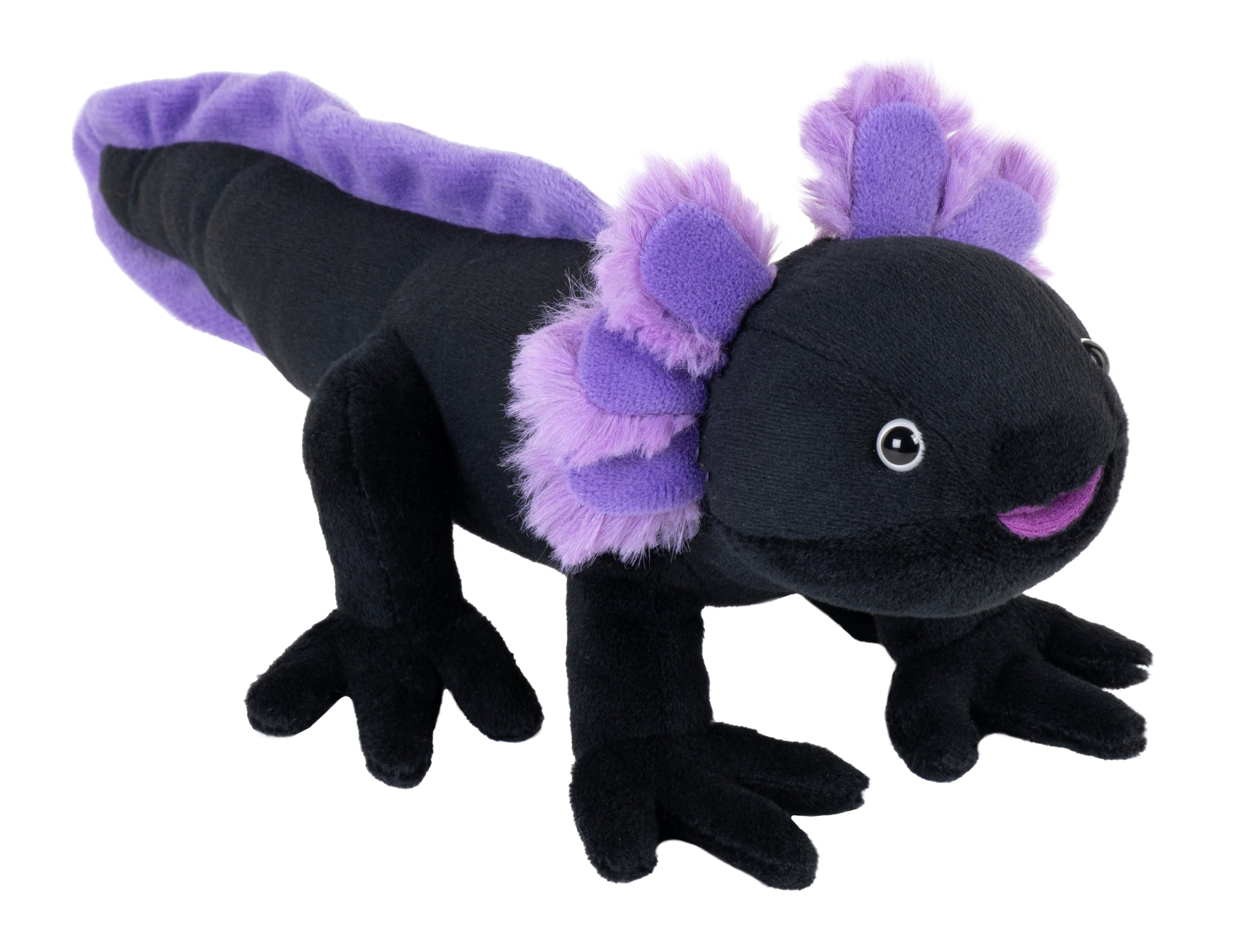 NEW CK - Mini Axolotl Black