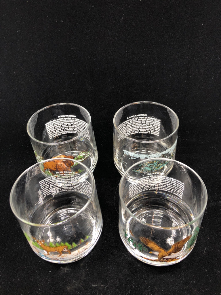 4 "AMERICAN WILDLIFE" LOWBALL ROCKS GLASSES.