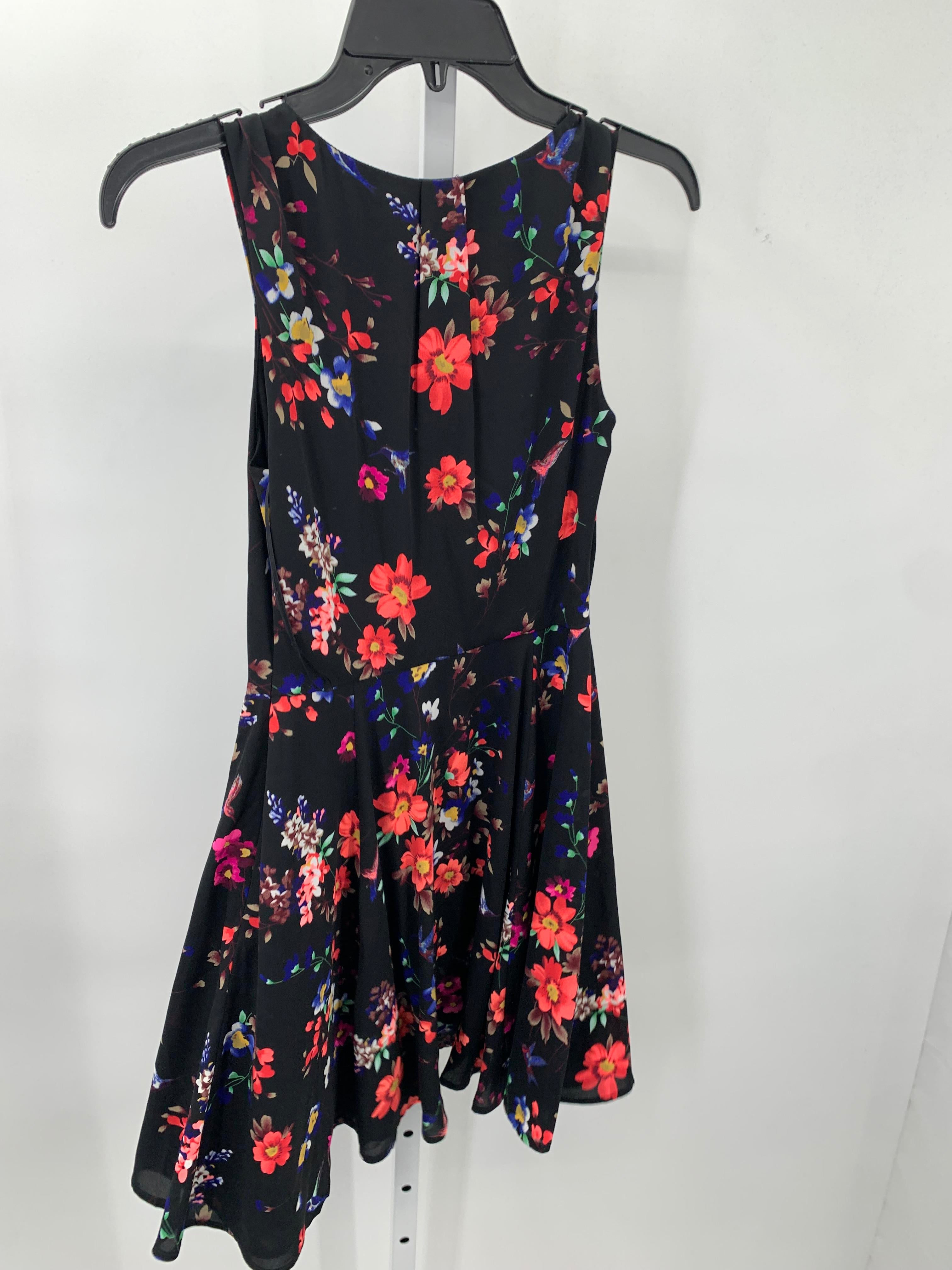 Express Size 0 Misses Sleeveless Dress