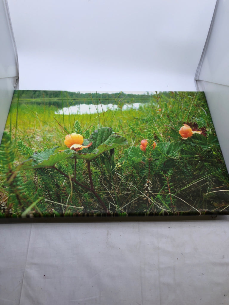 FLOWERS IN GREEN FIELD CANVAS WALL ART.